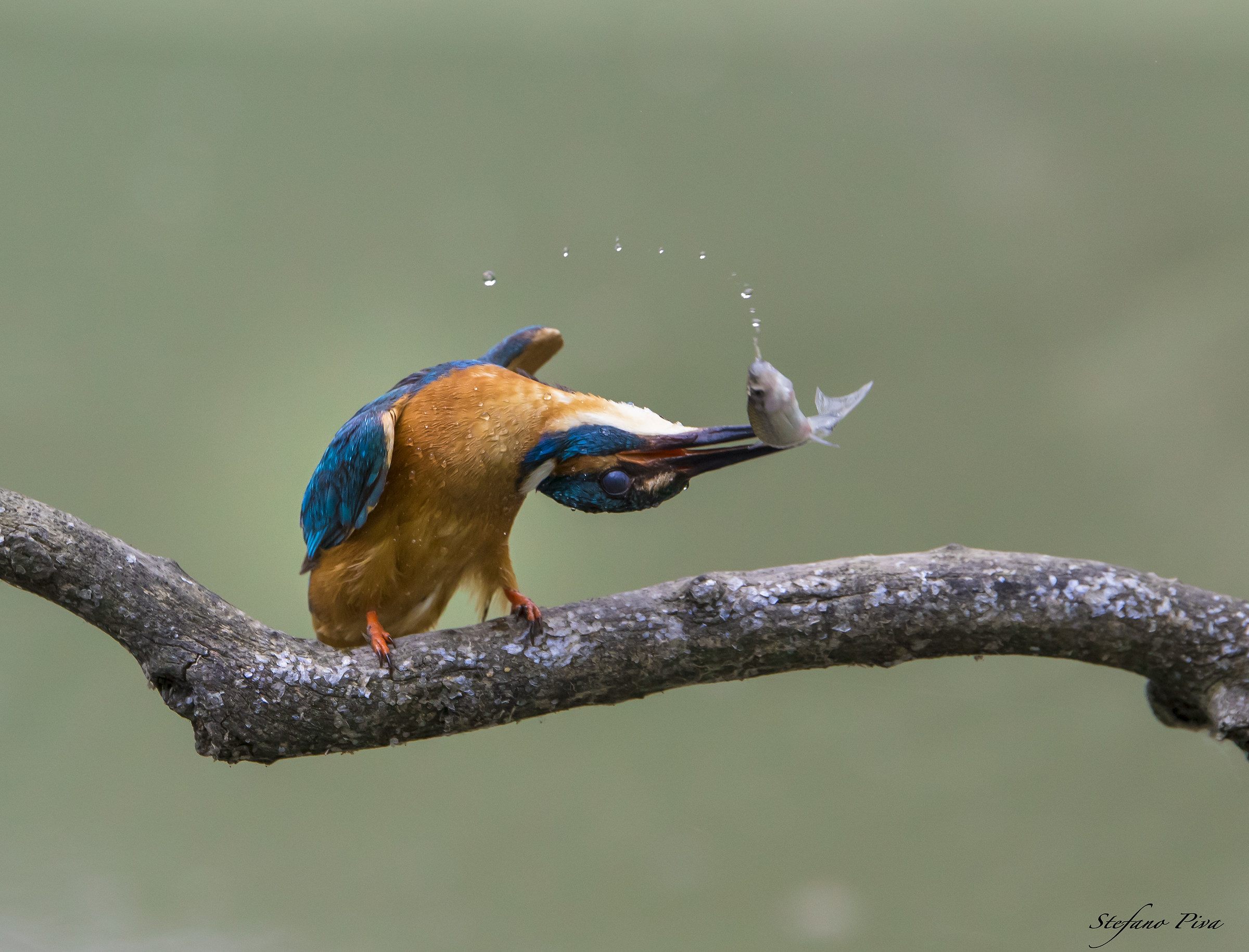 Tomorrow I will have a stiff neck