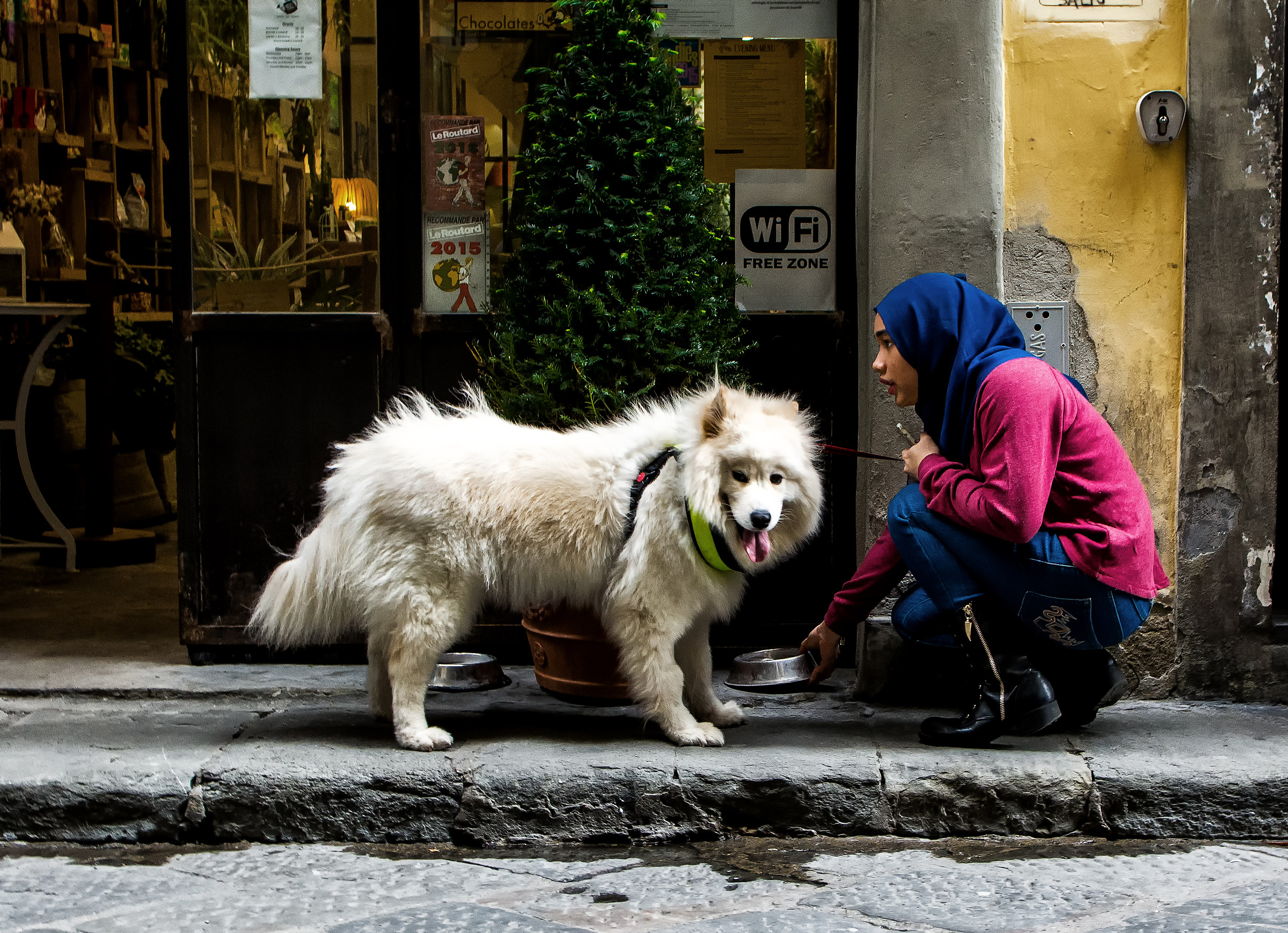 Wi-Fi and Water Free