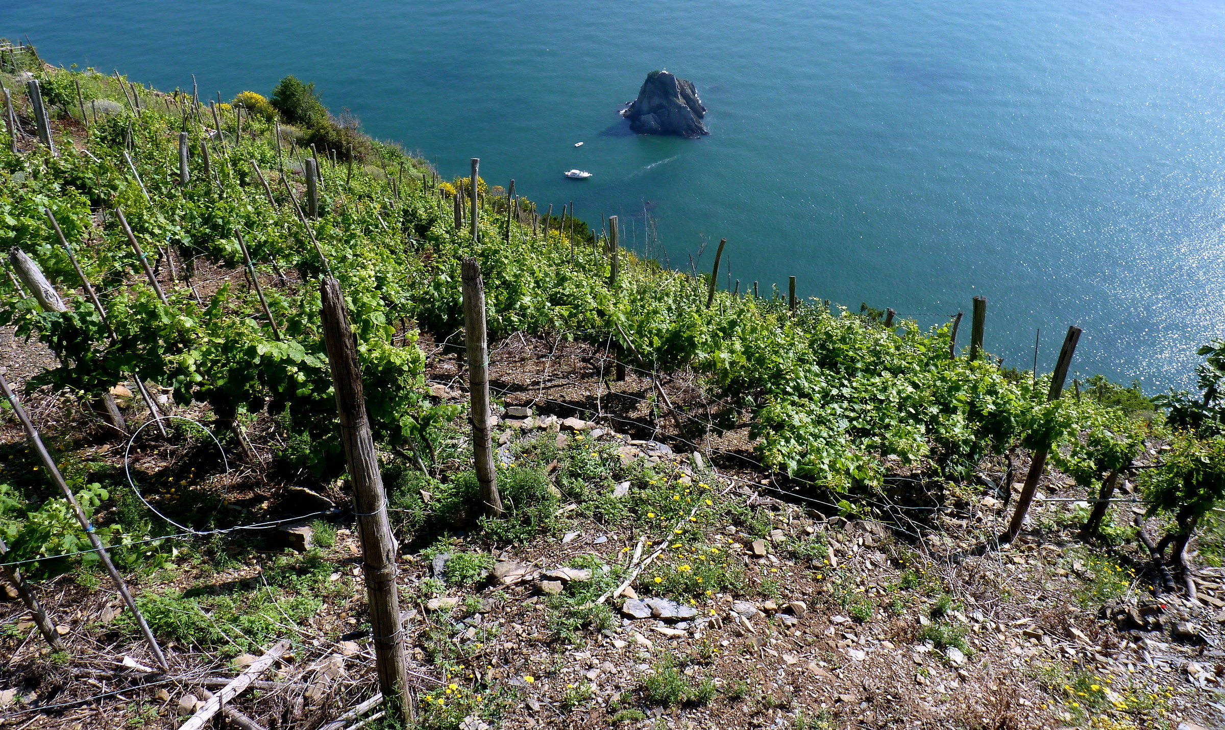 lo Scoglio Ferrale visto da Tramonti-localita' Schiara-