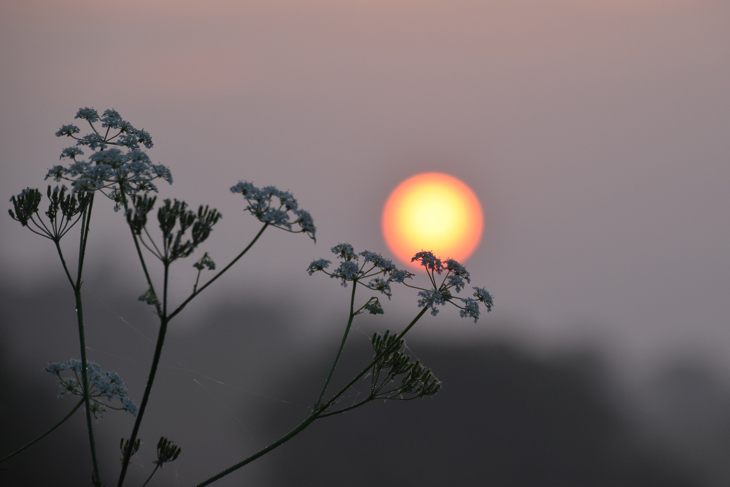 Good Morning, Monday!