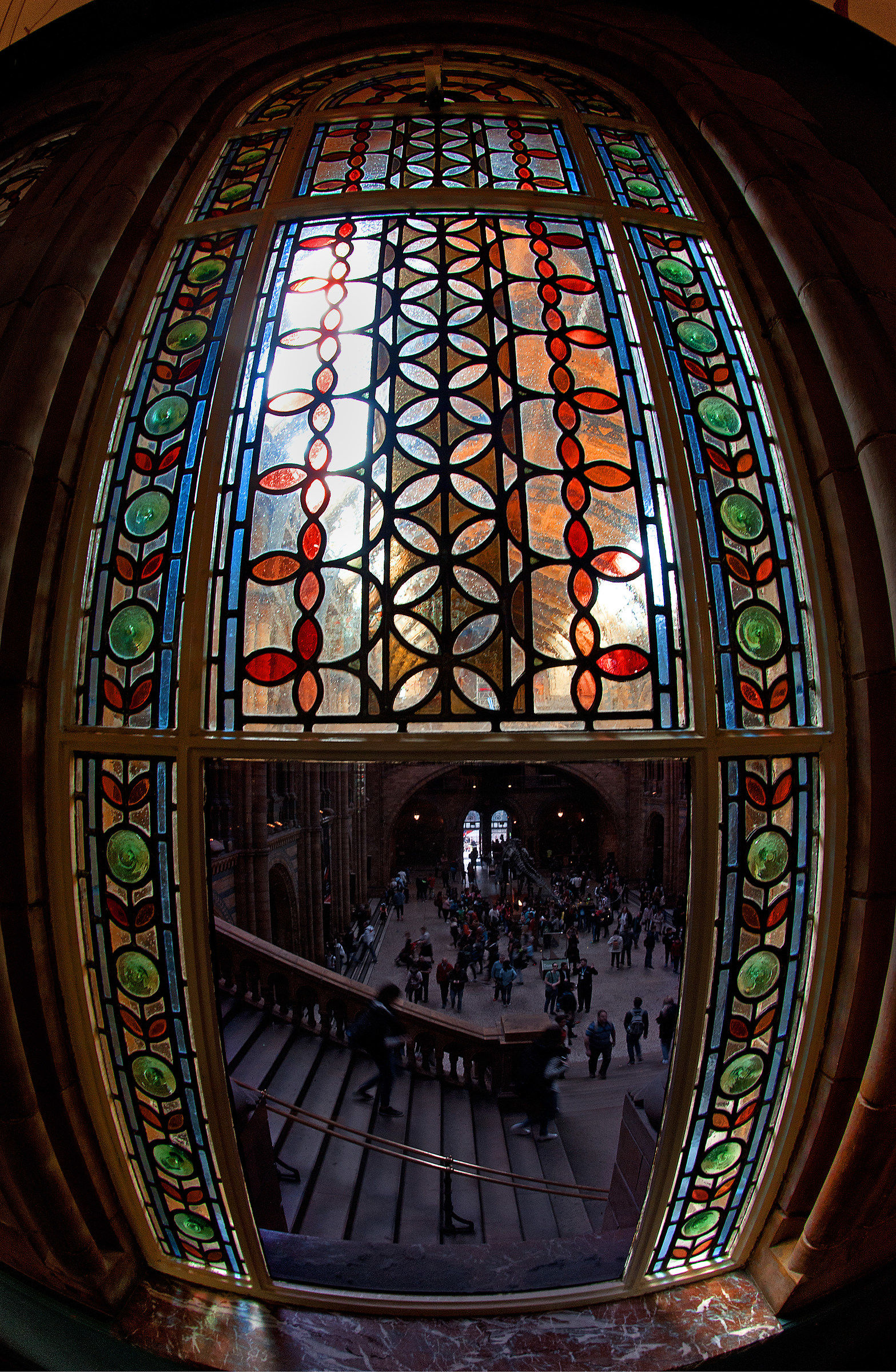 Natural History Museum: Through the Bulging Window...