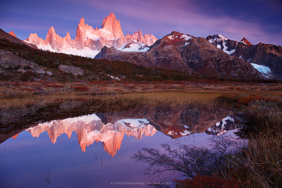 The Cathedral of the Fitz Roy