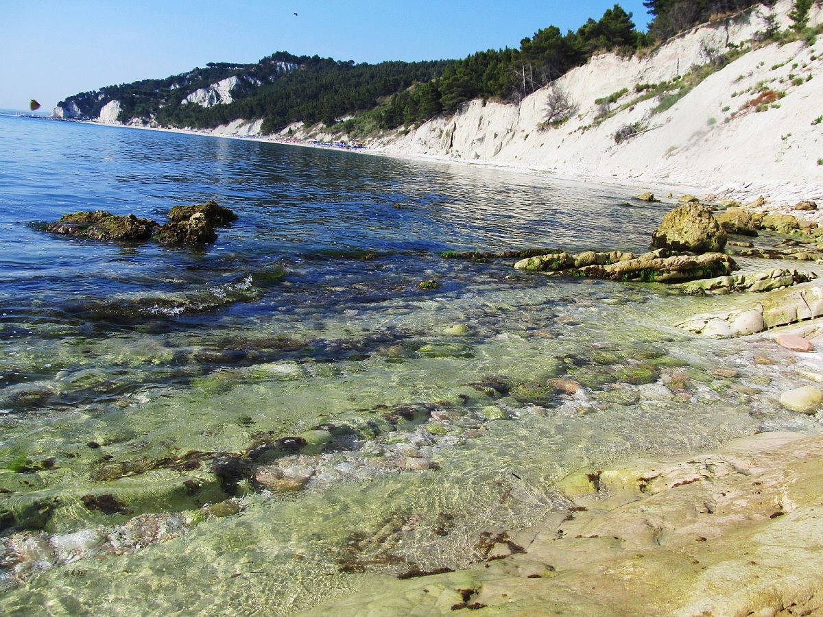 fallen stones blacks