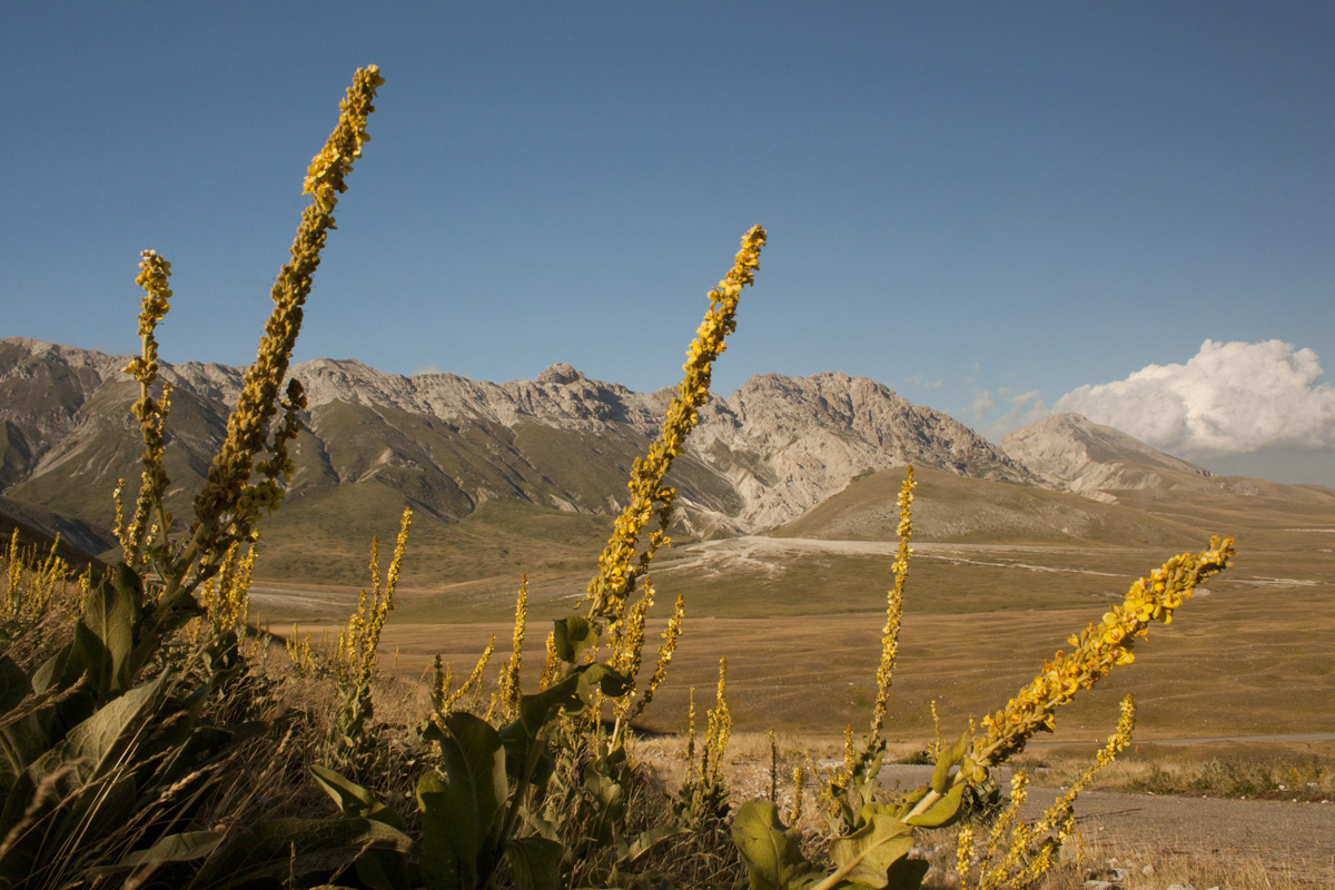 Piana di Campo Imperatore