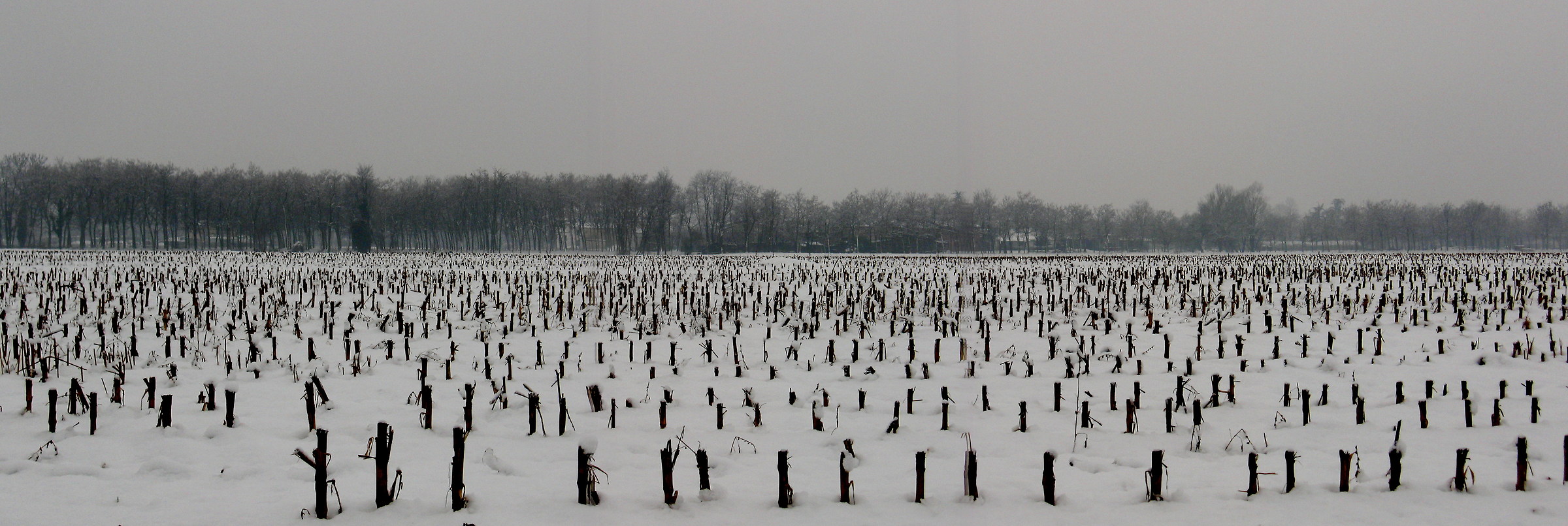 First snowfall of 2009