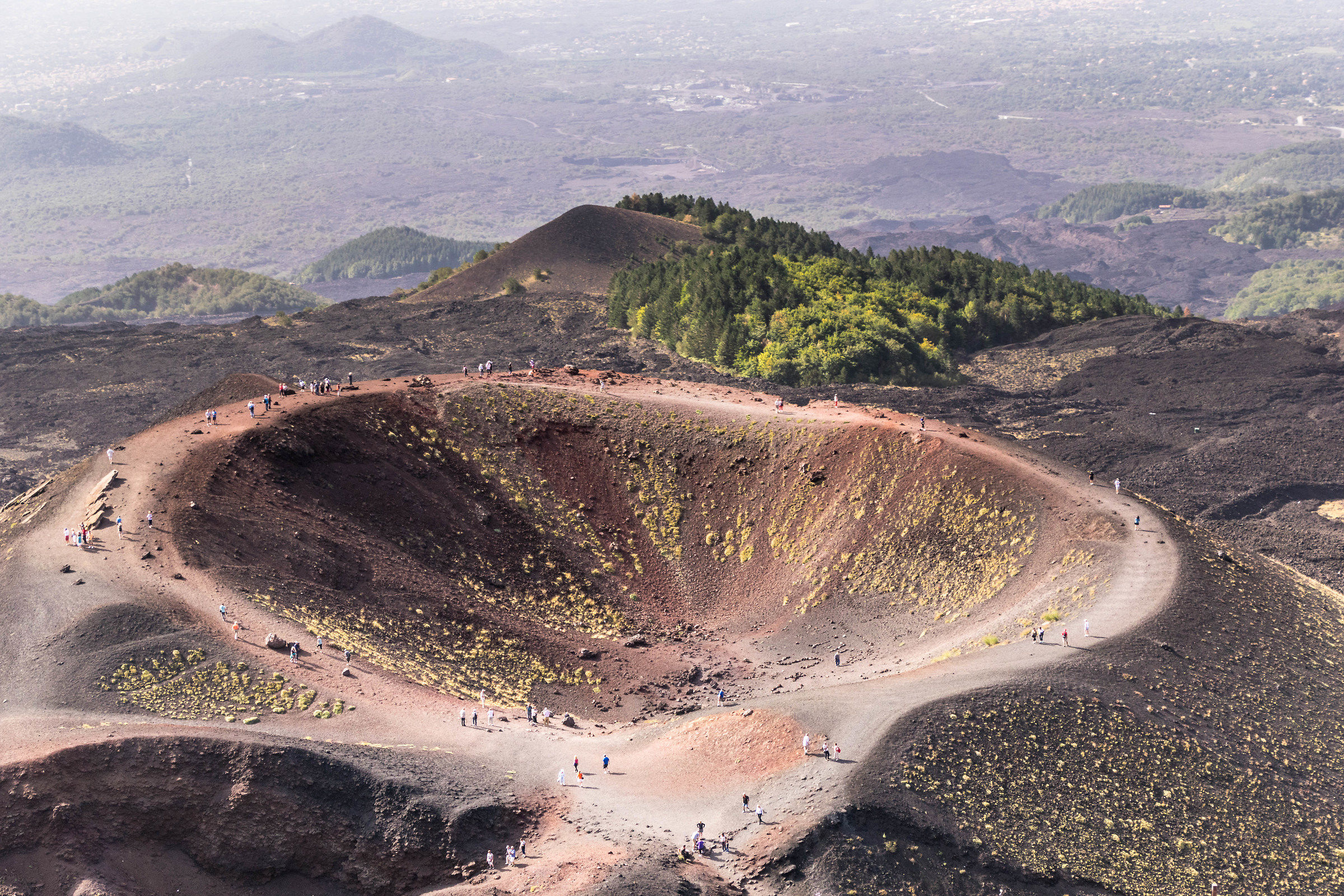 Come le formiche ...