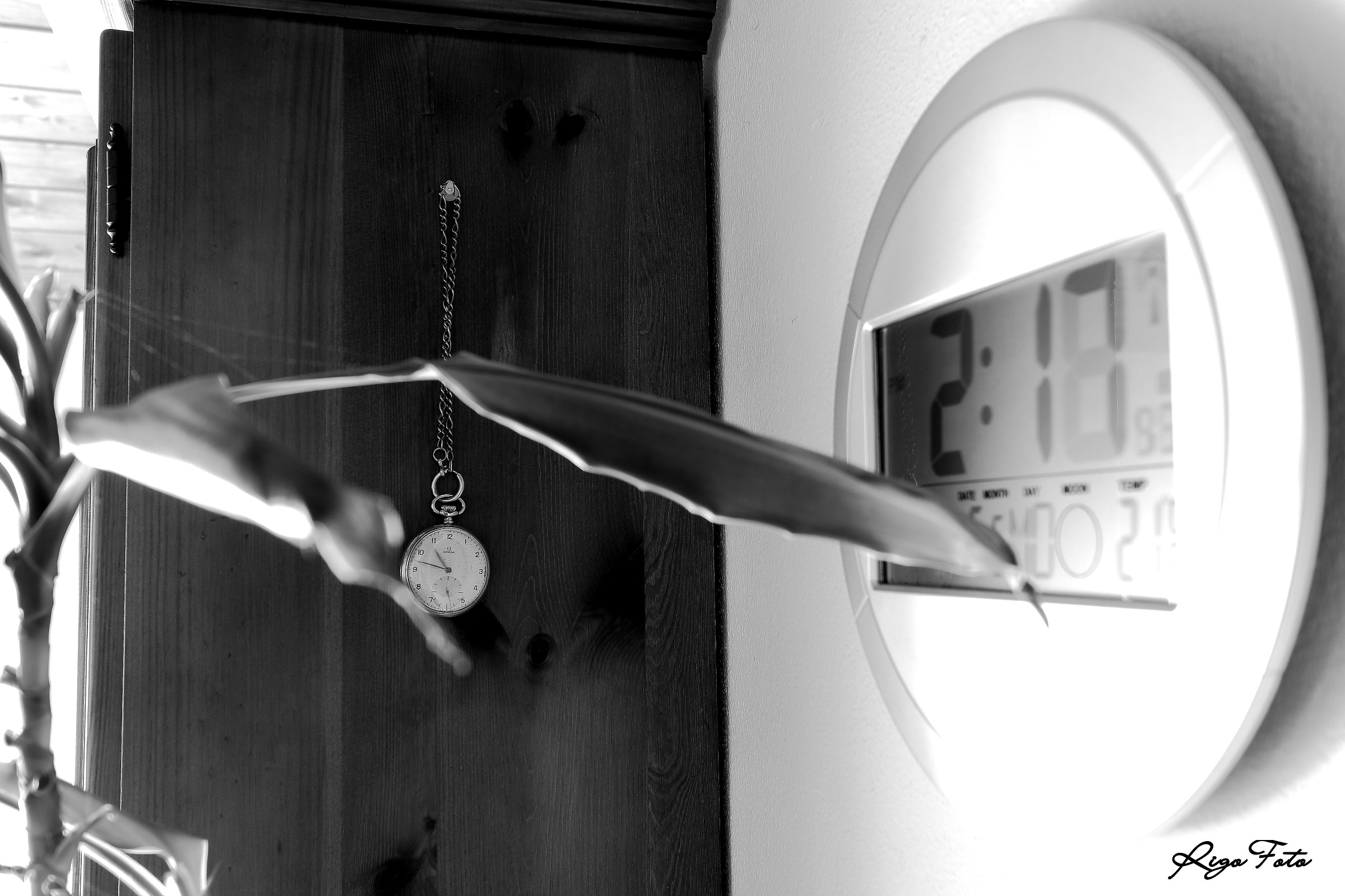 Il vecchio e il nuovo