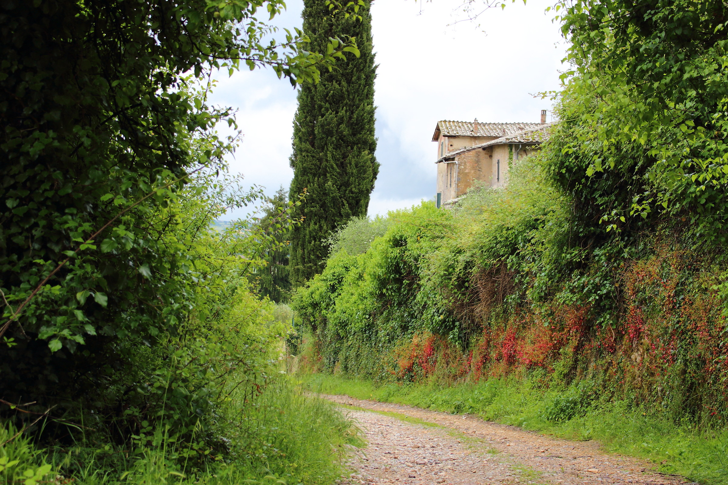 Surprise on the trail