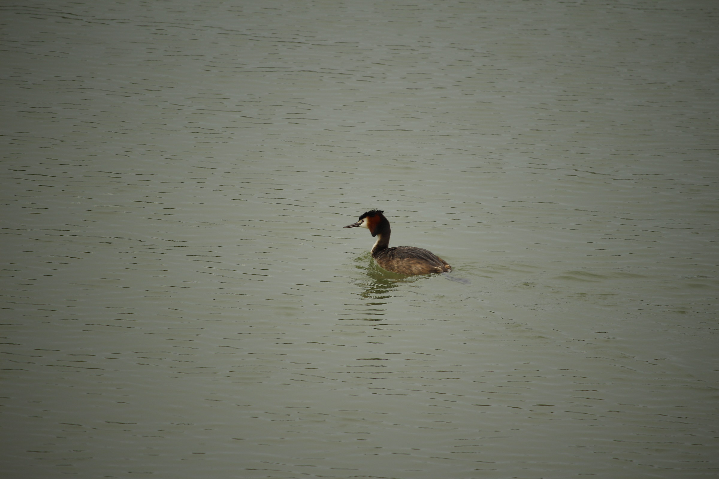 And with the rain it takes quite wet