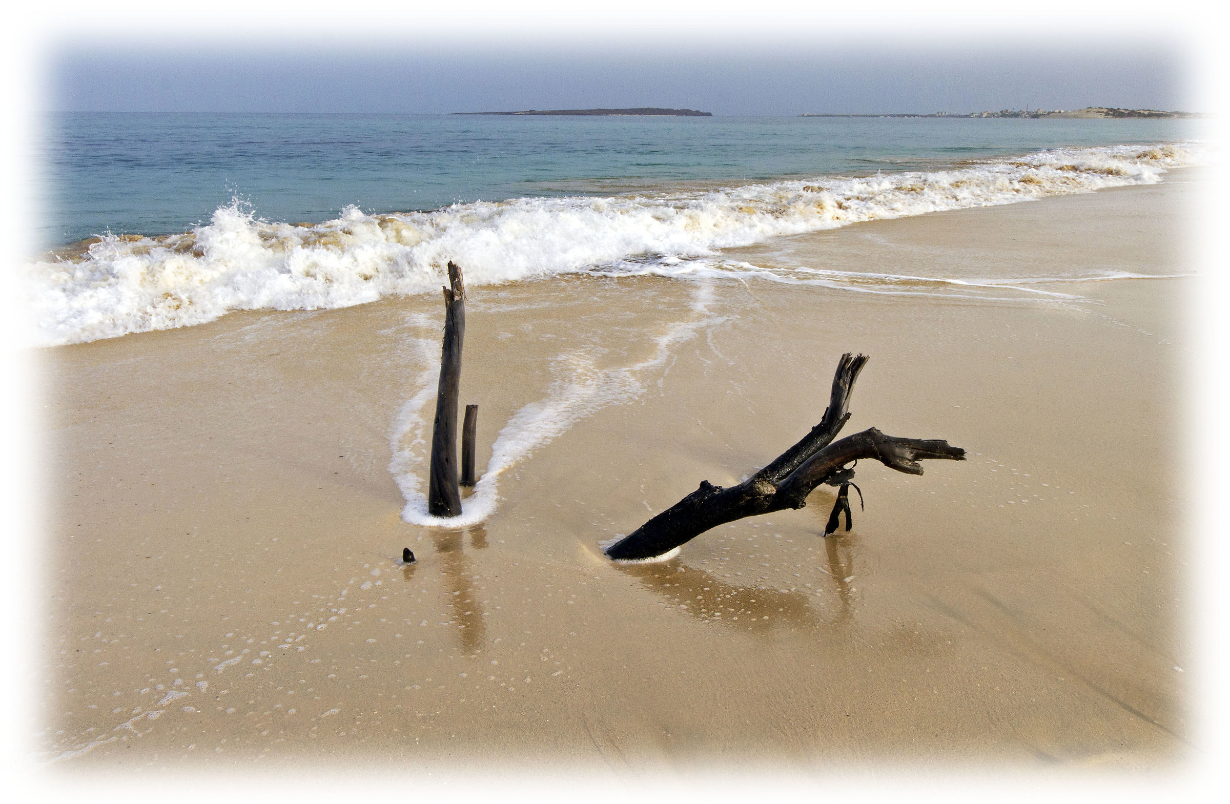 Chief Sees-island of Boa Vista