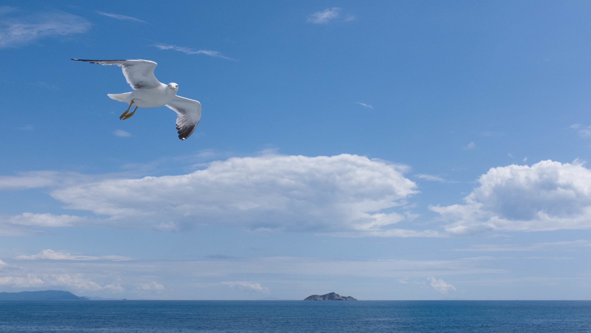 And this comes from where?