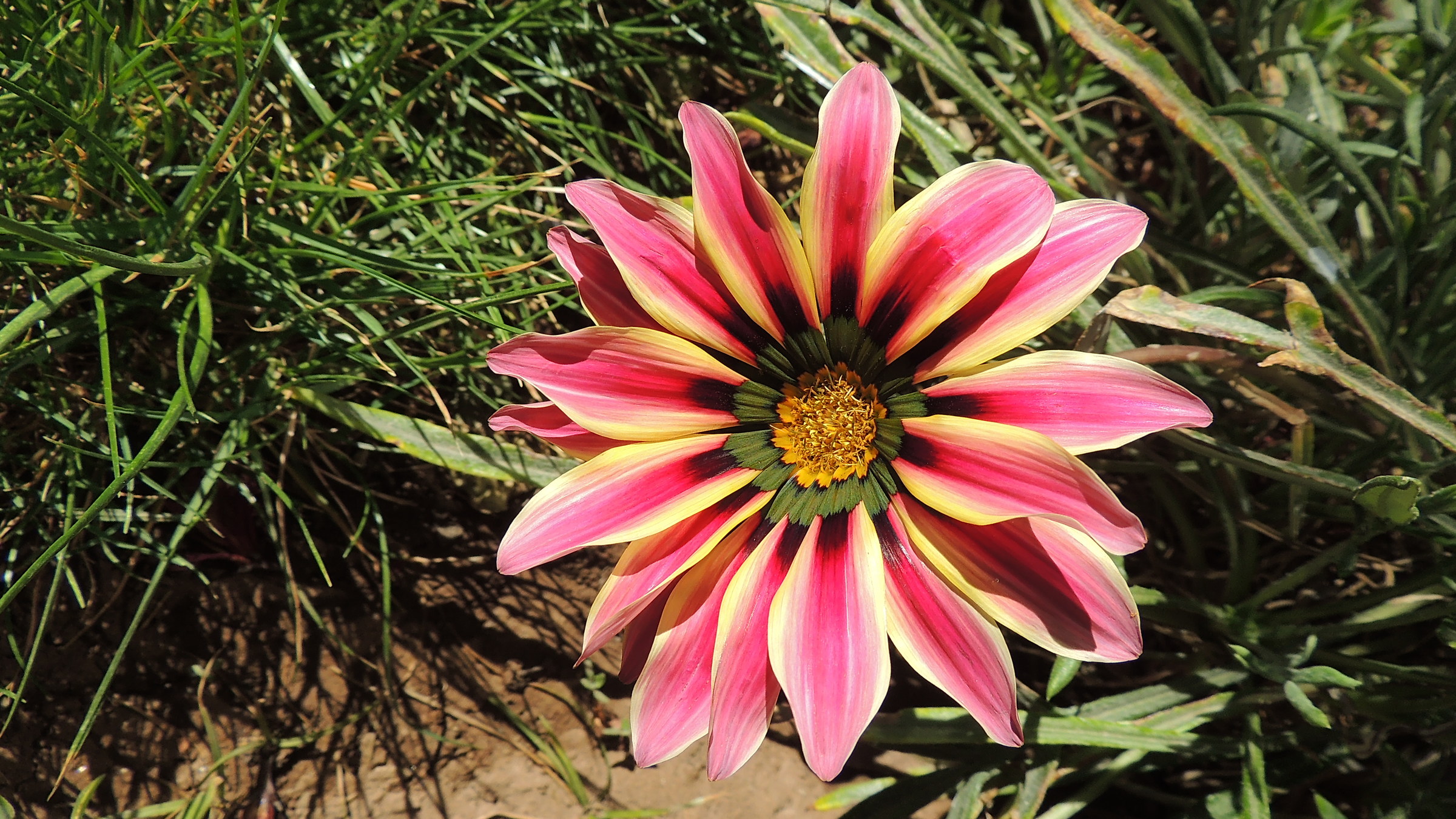 Bolivia, Tupiza: "fireworks" at 4000 mt