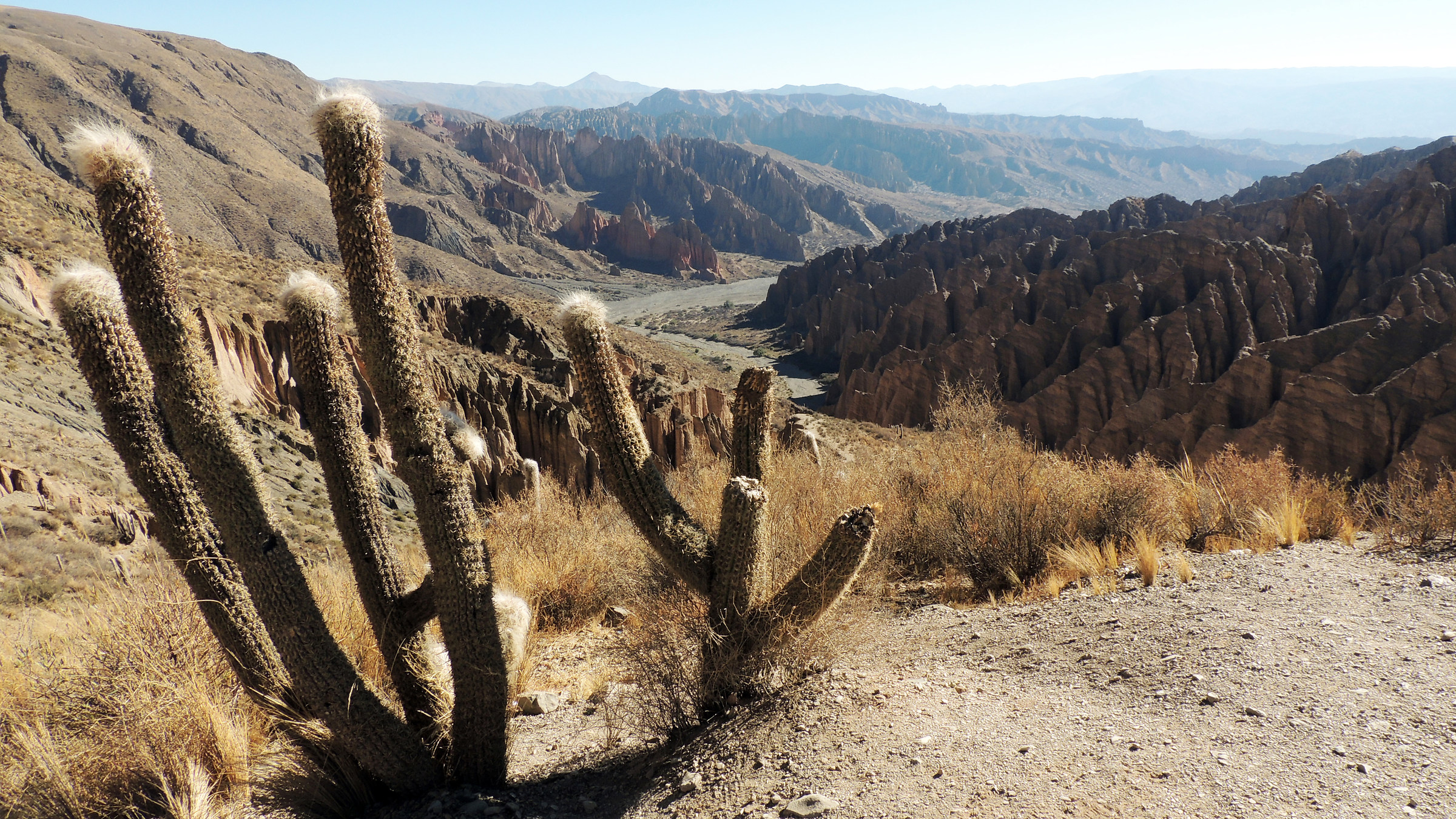 Bolivia, plateaus: sharp bumps