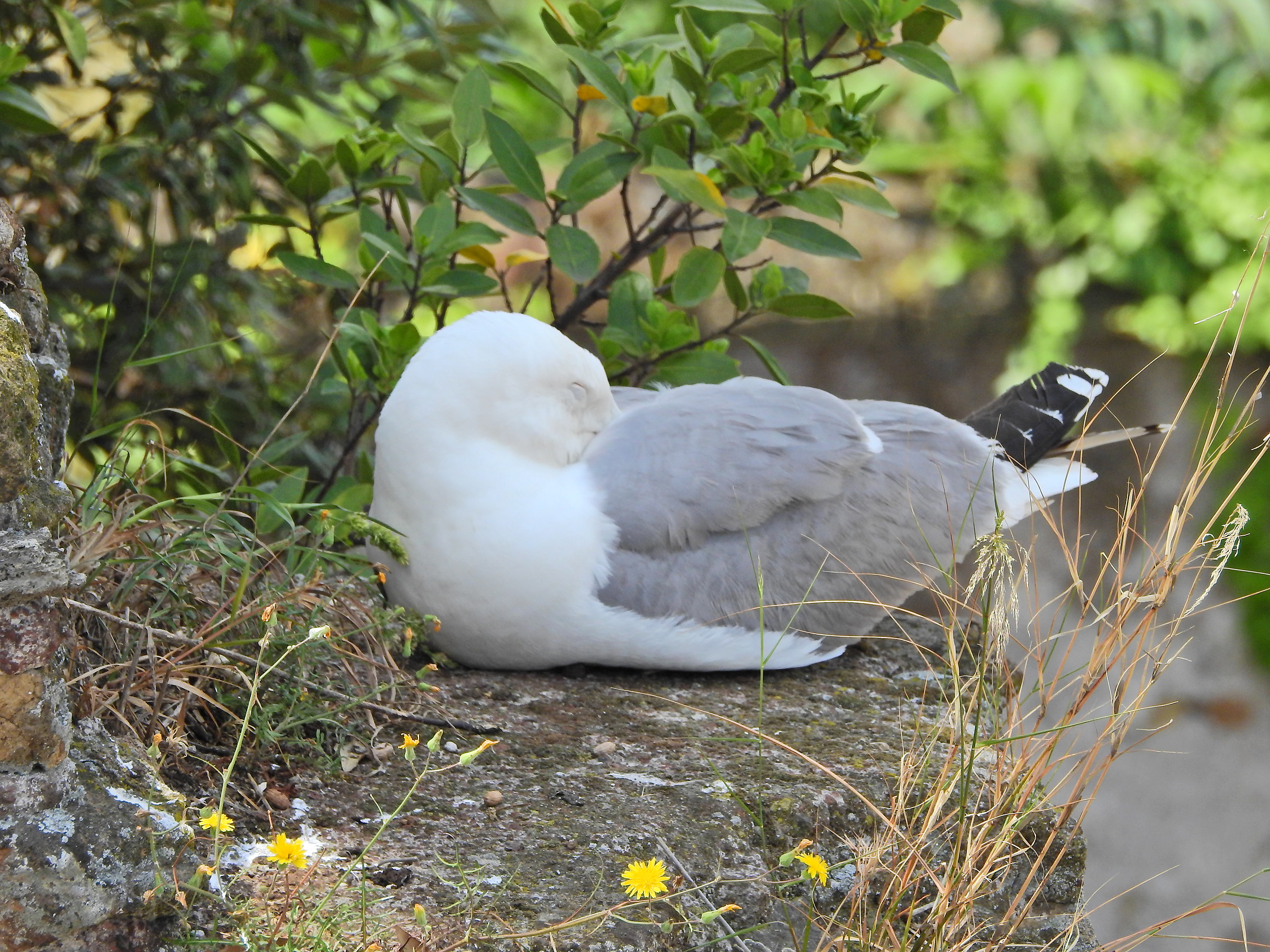 You'd better take a nap