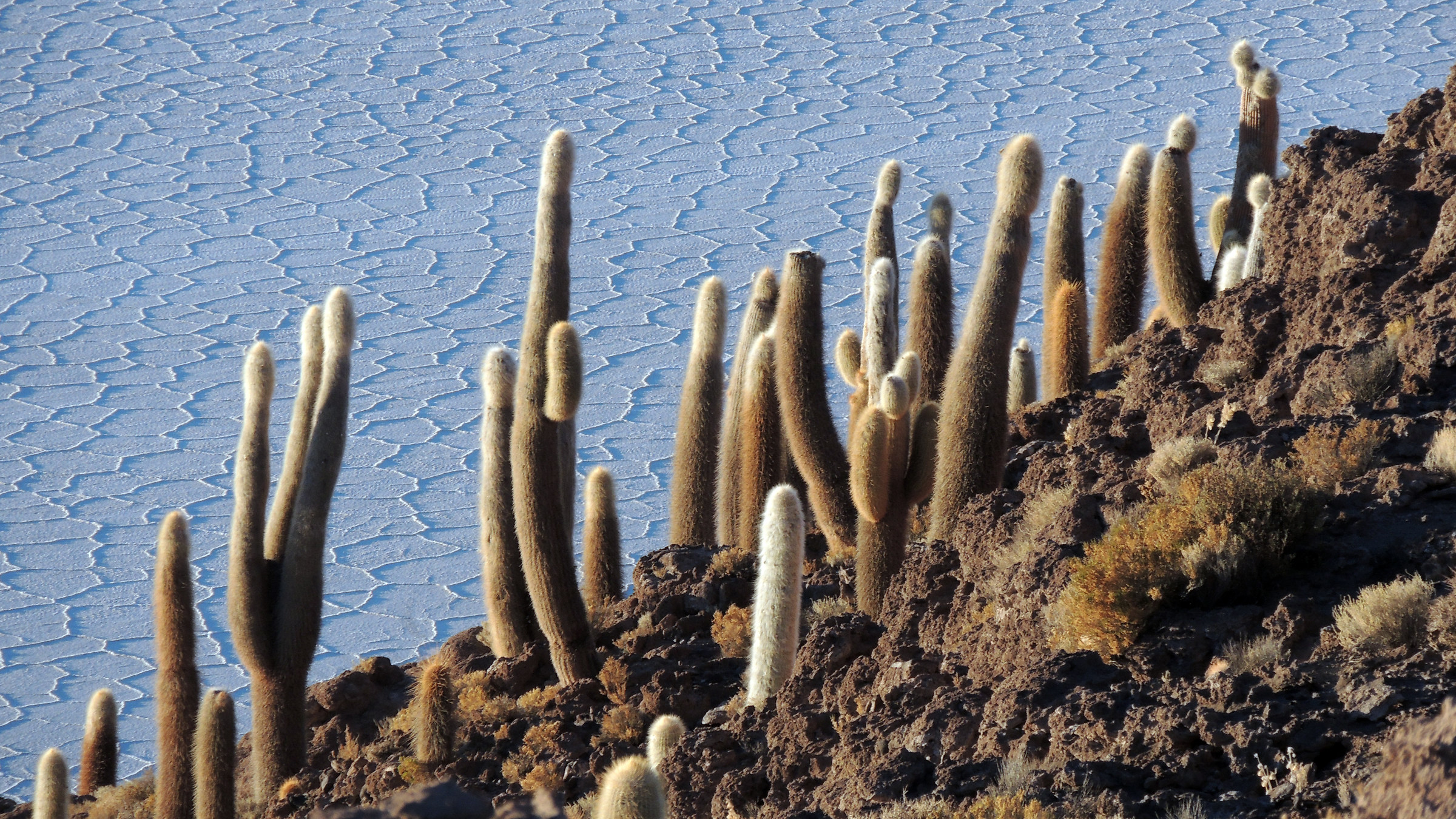Bolivia, plateaus: contrasting geometries