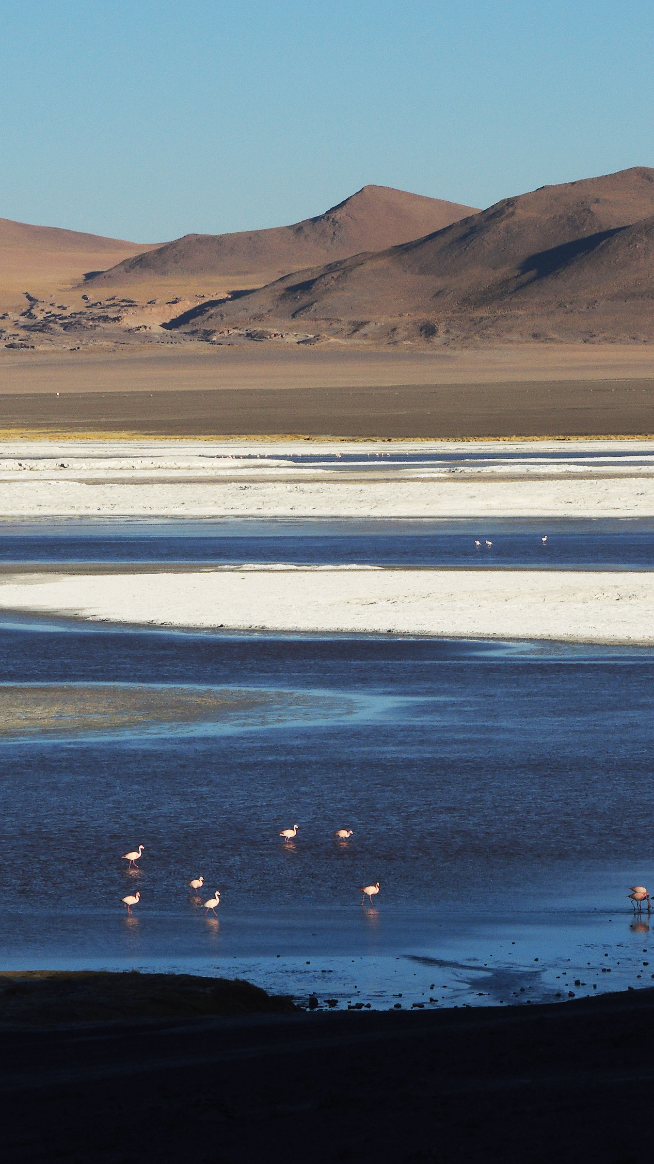 Bolivia, plateaus: lagoons contrasting colors