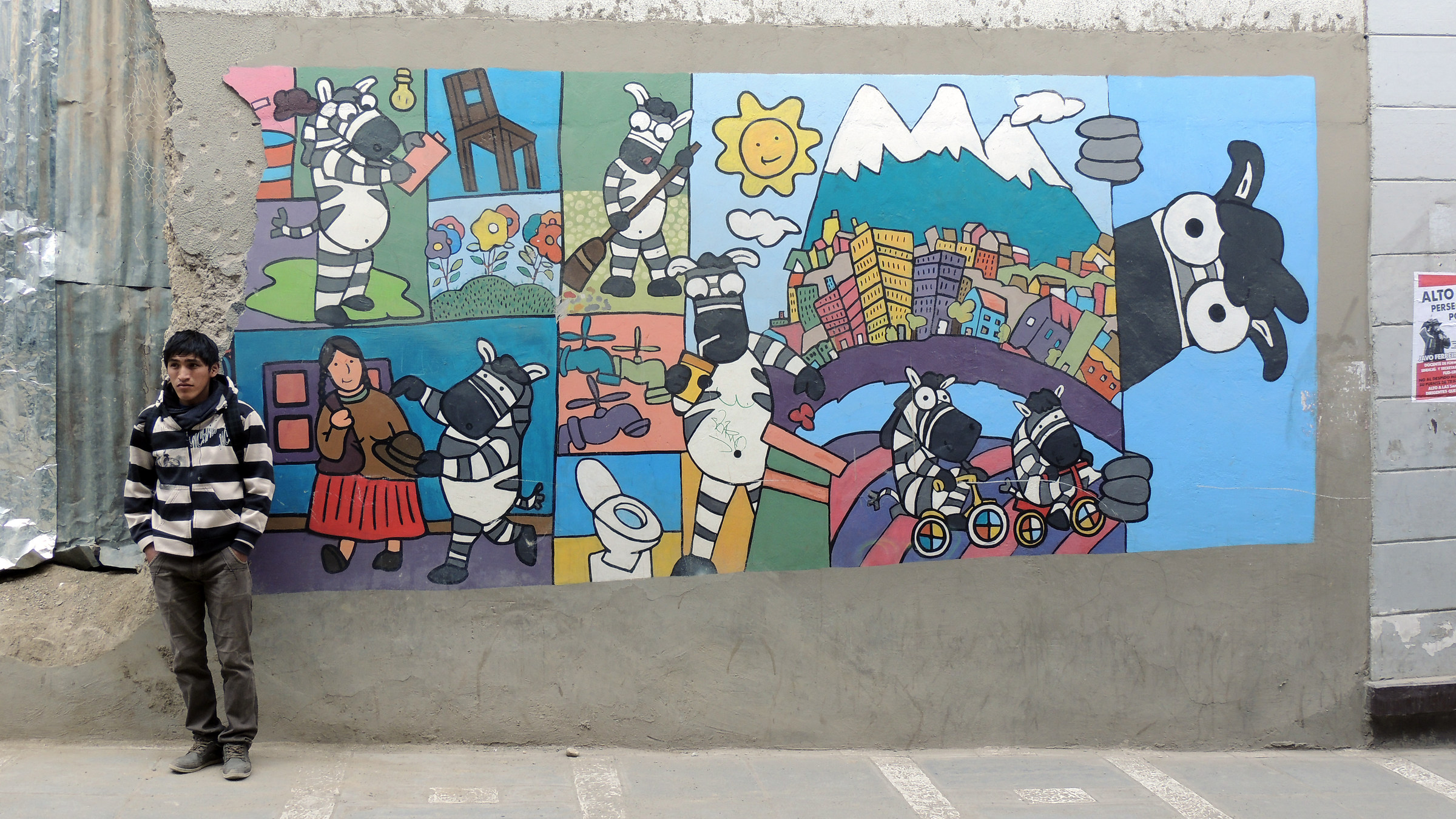 Bolivia, La Paz: zebras