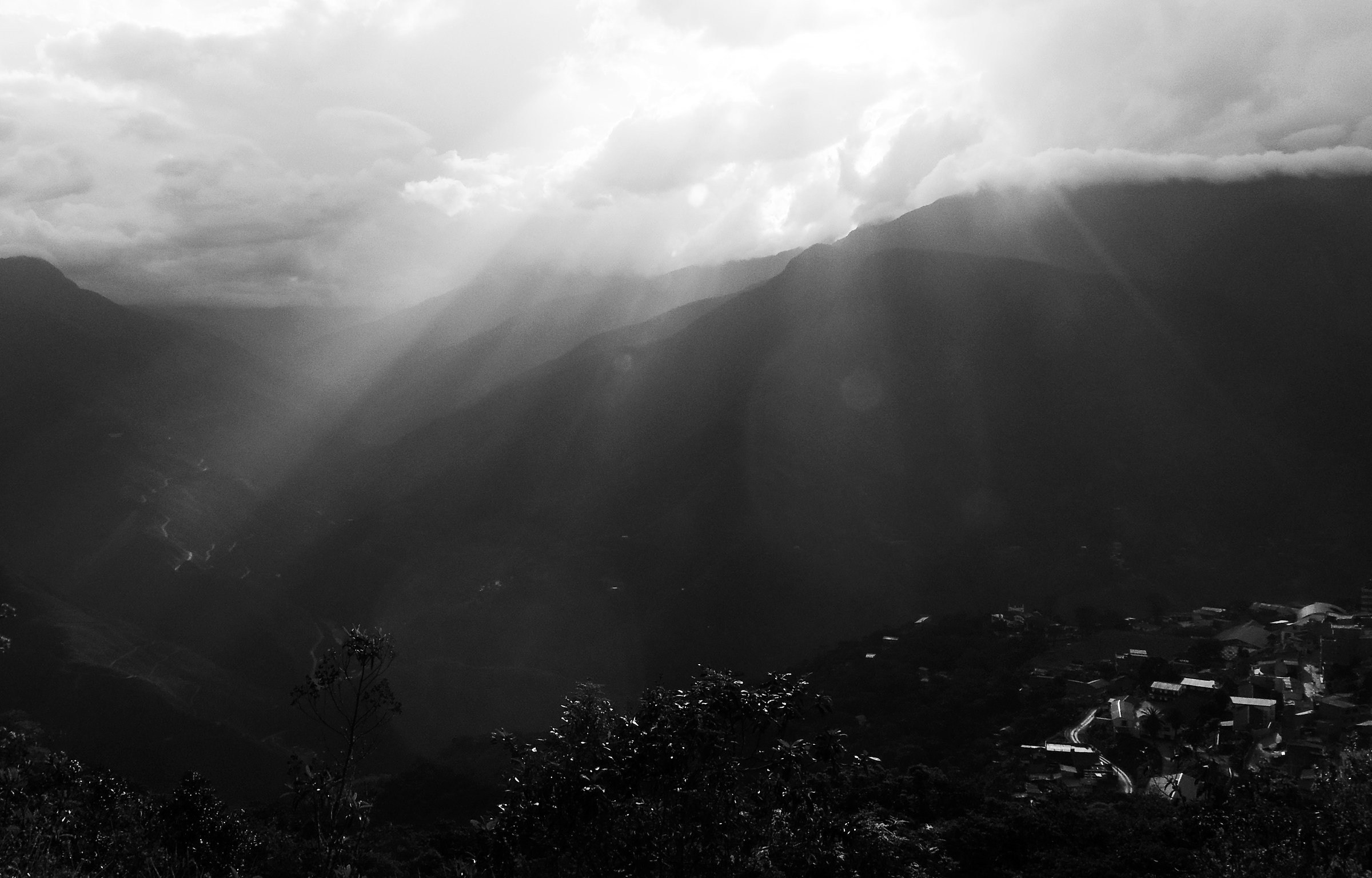 Bolivia, Coroico: sunny scuarcio the tropics