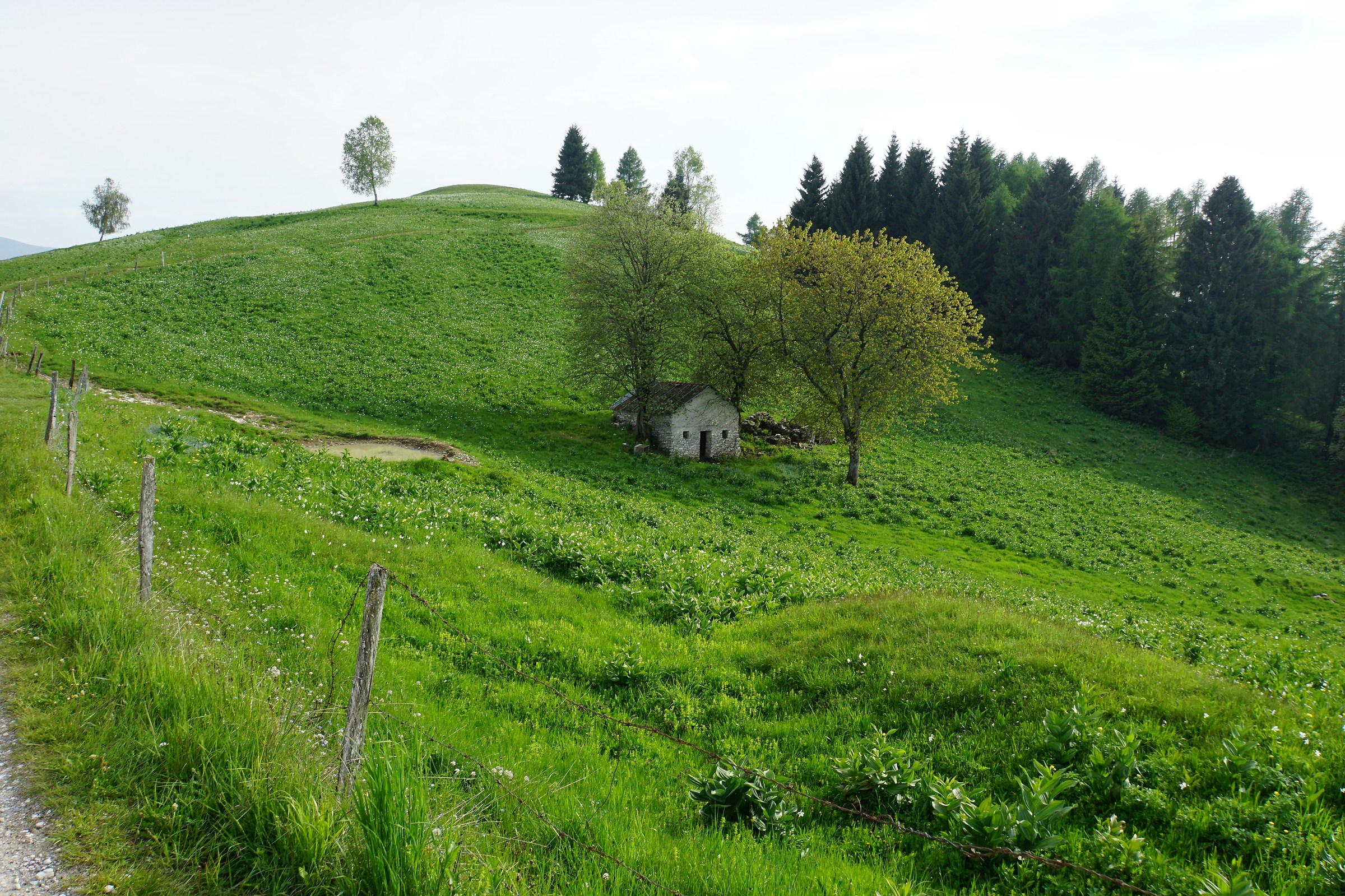 1 Verso pian de coltura