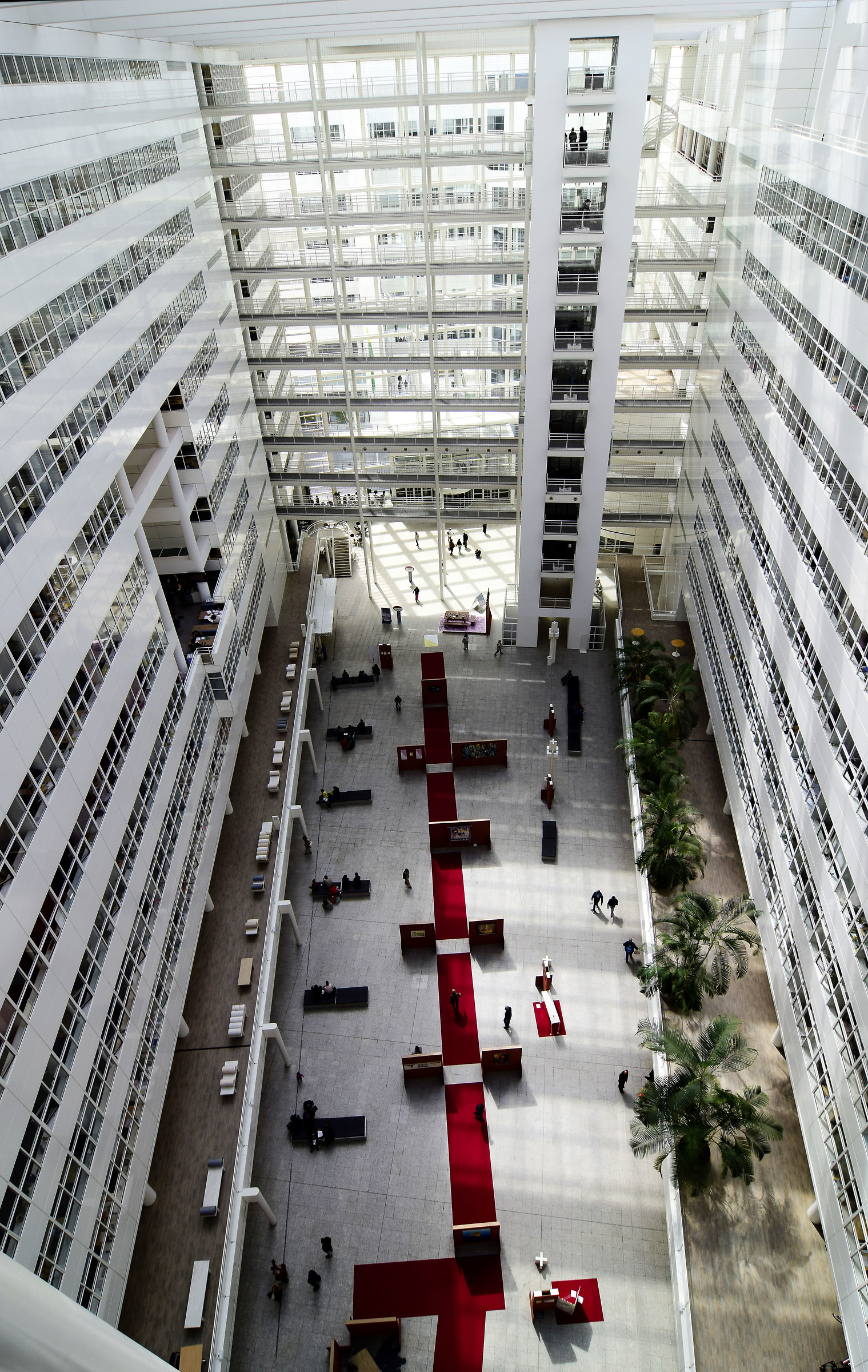 Rotterdam, Municipio