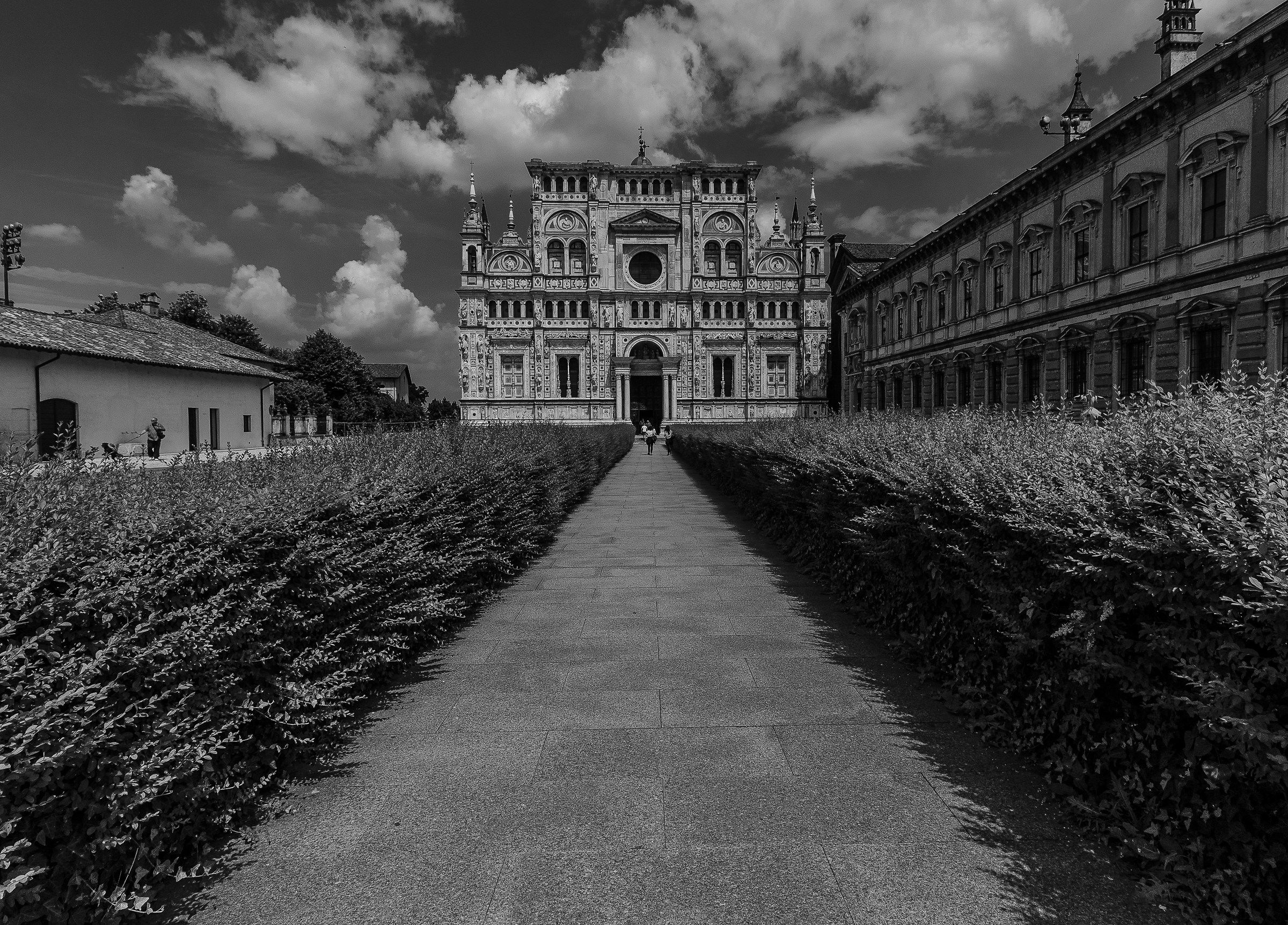 The Certosa di Pavia B / N