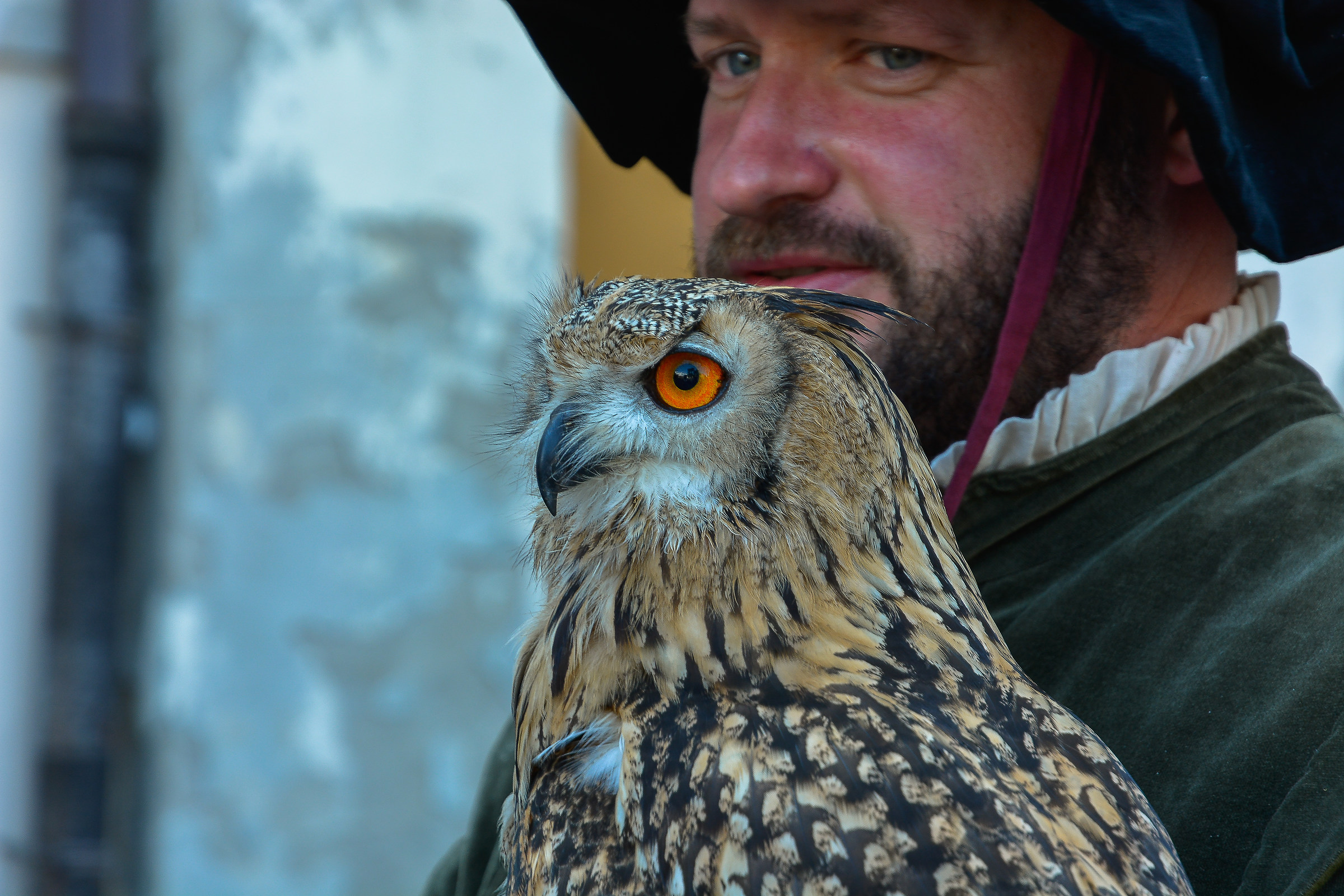 Sguardi medioevali S.Secondo parmense