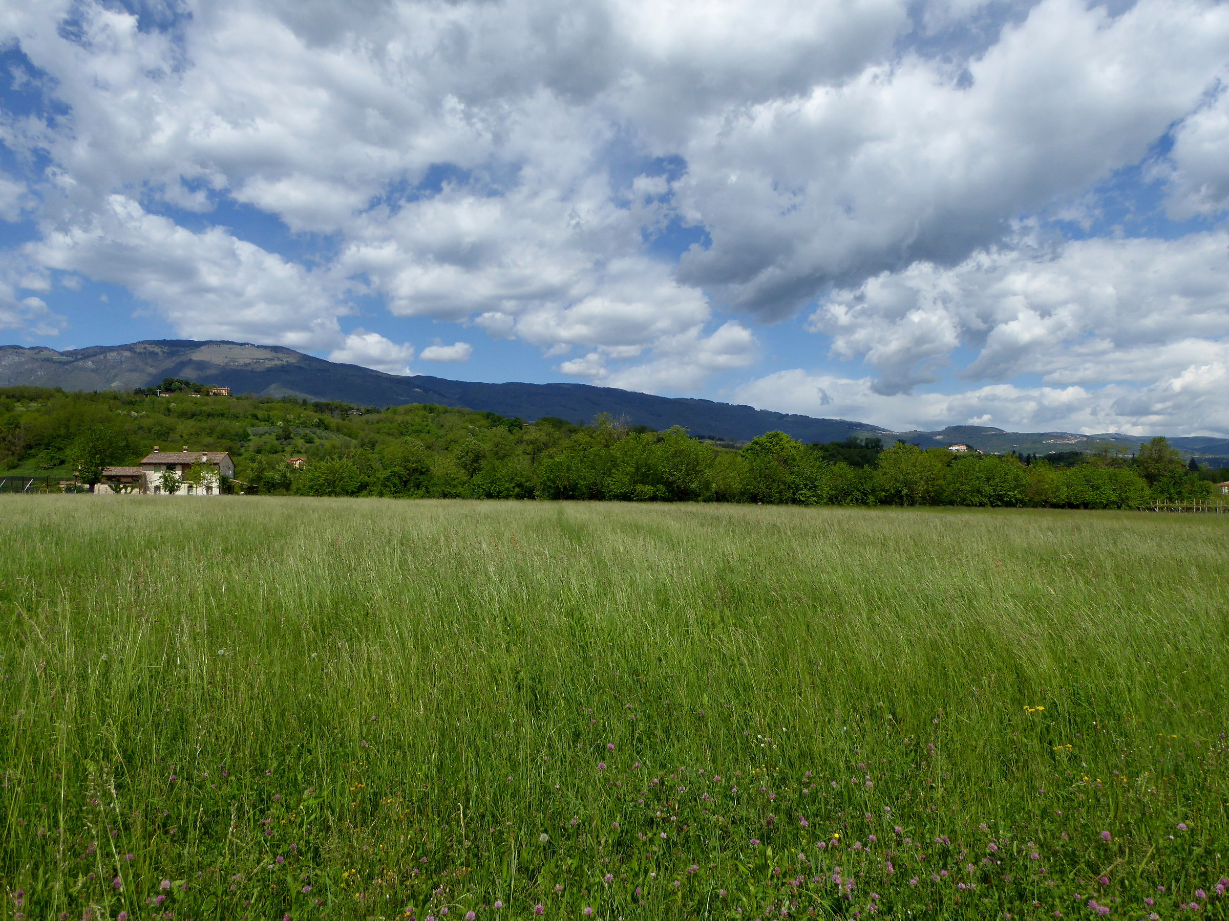 Centrale di Zugliano, Campagnole