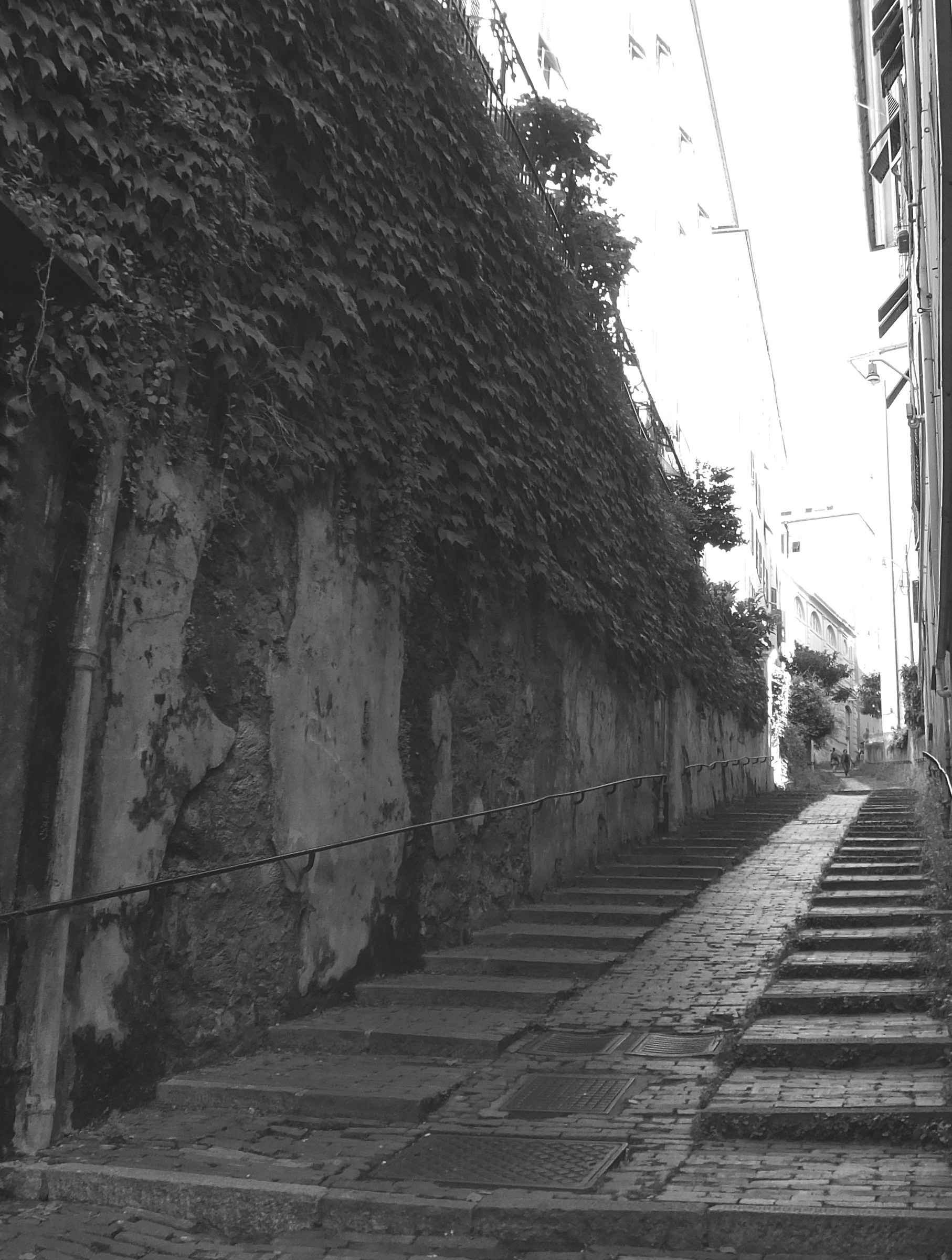 irta è la mulattiera