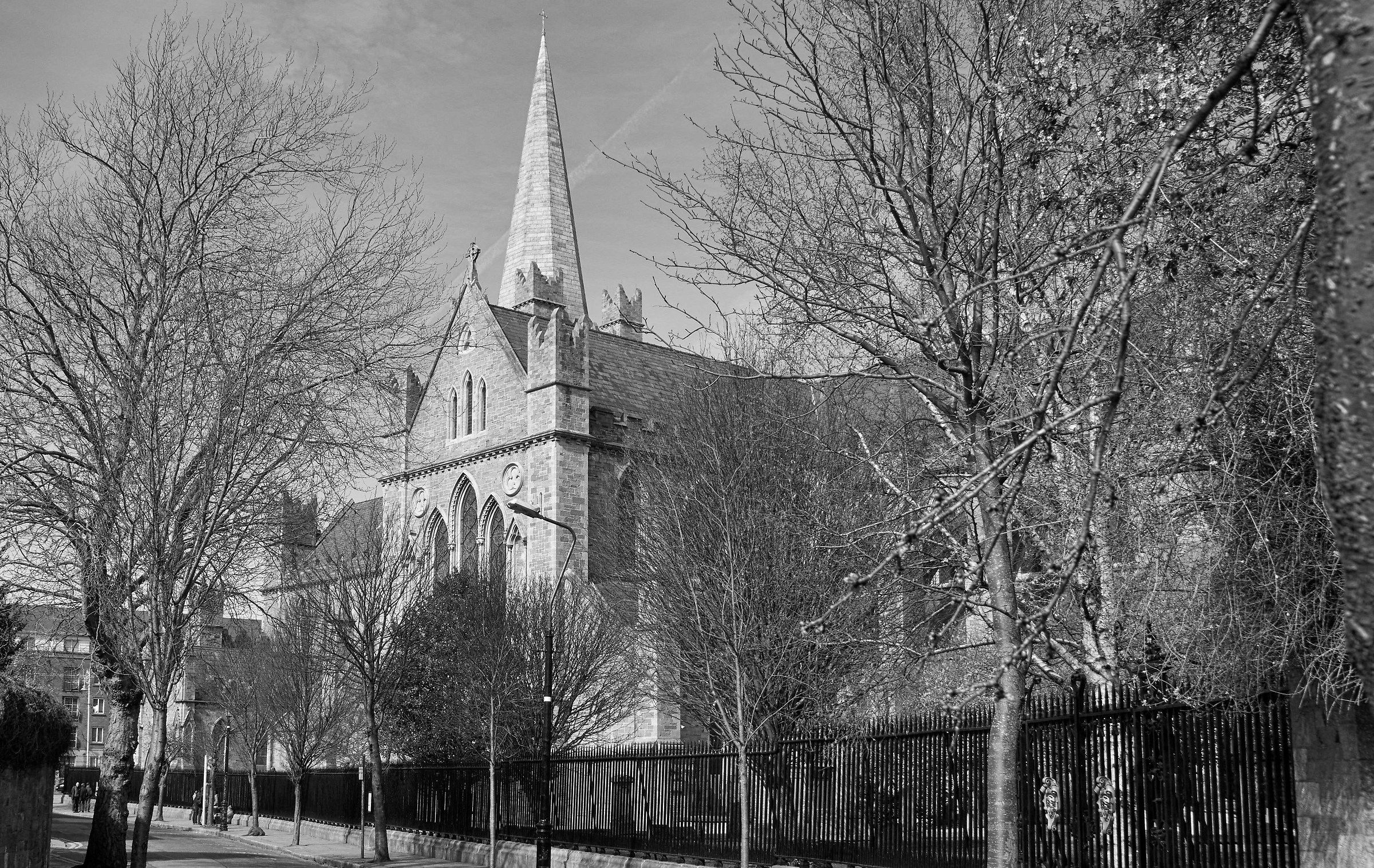 Dublino, San Patrizio