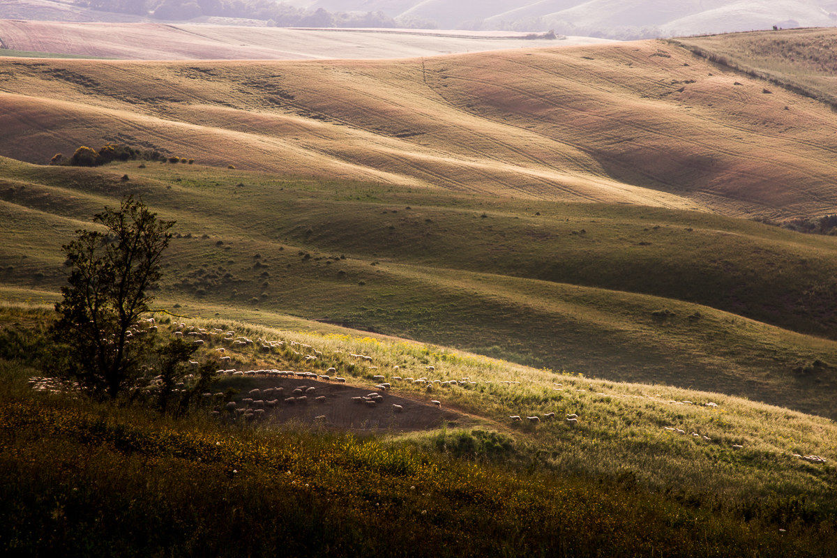 Pastures and clays Baccoleno