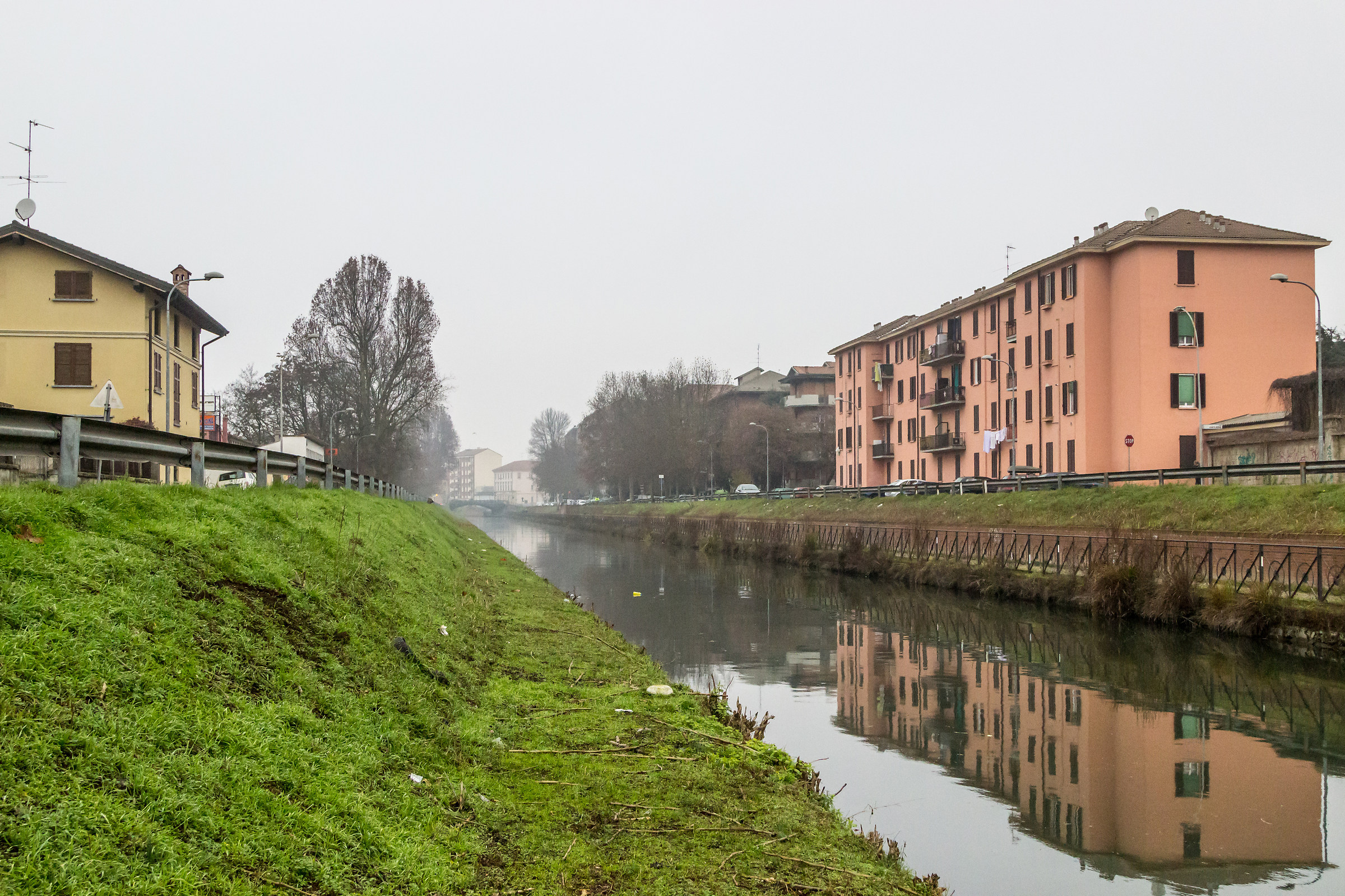 Pavia