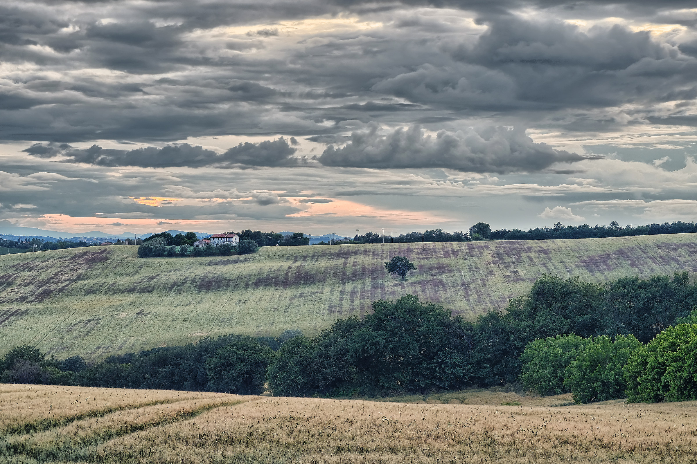 Colli marchigiani a Montignano - 04 Giugno 2016