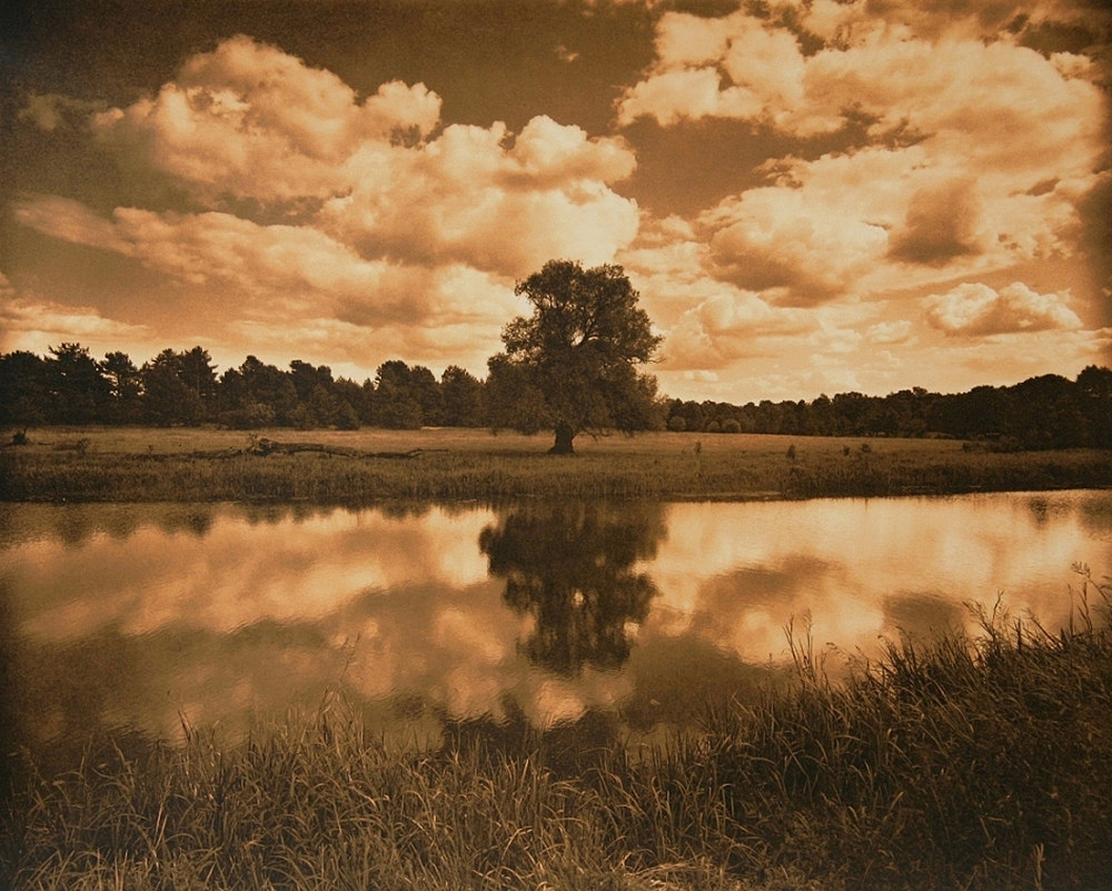 The lonely one, Poland