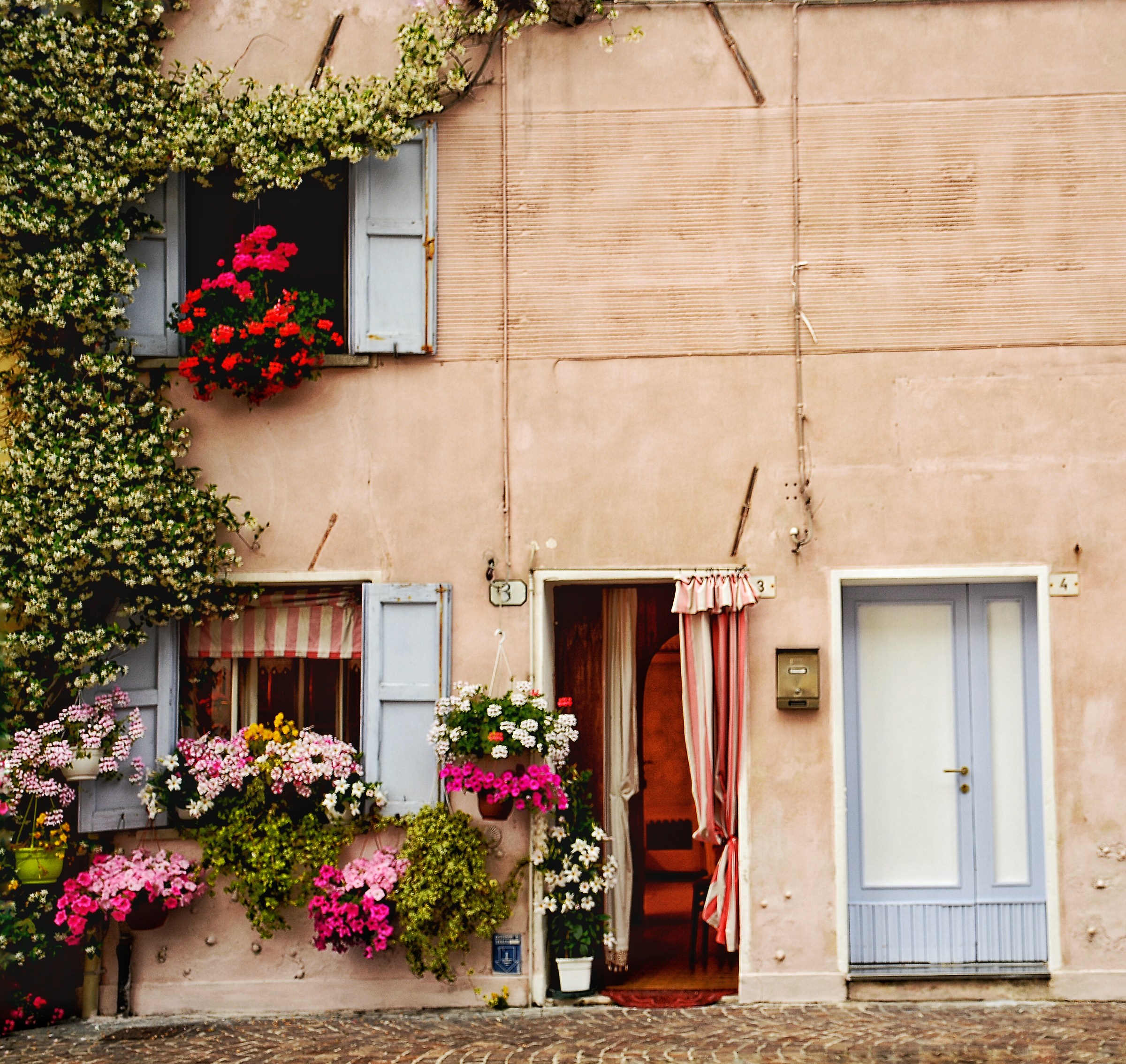 Bel Davanzale, Signora!