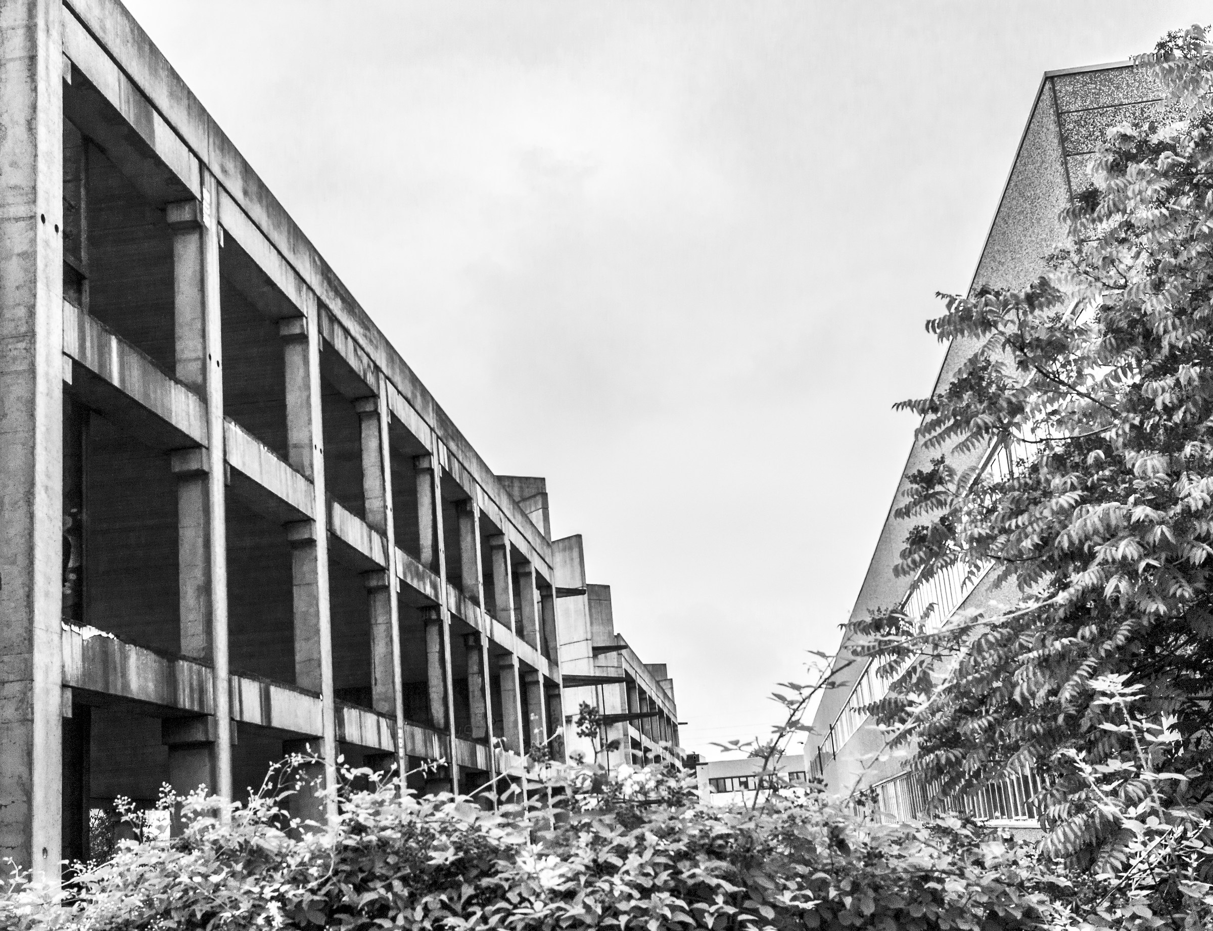 Skeletons of Brugherio