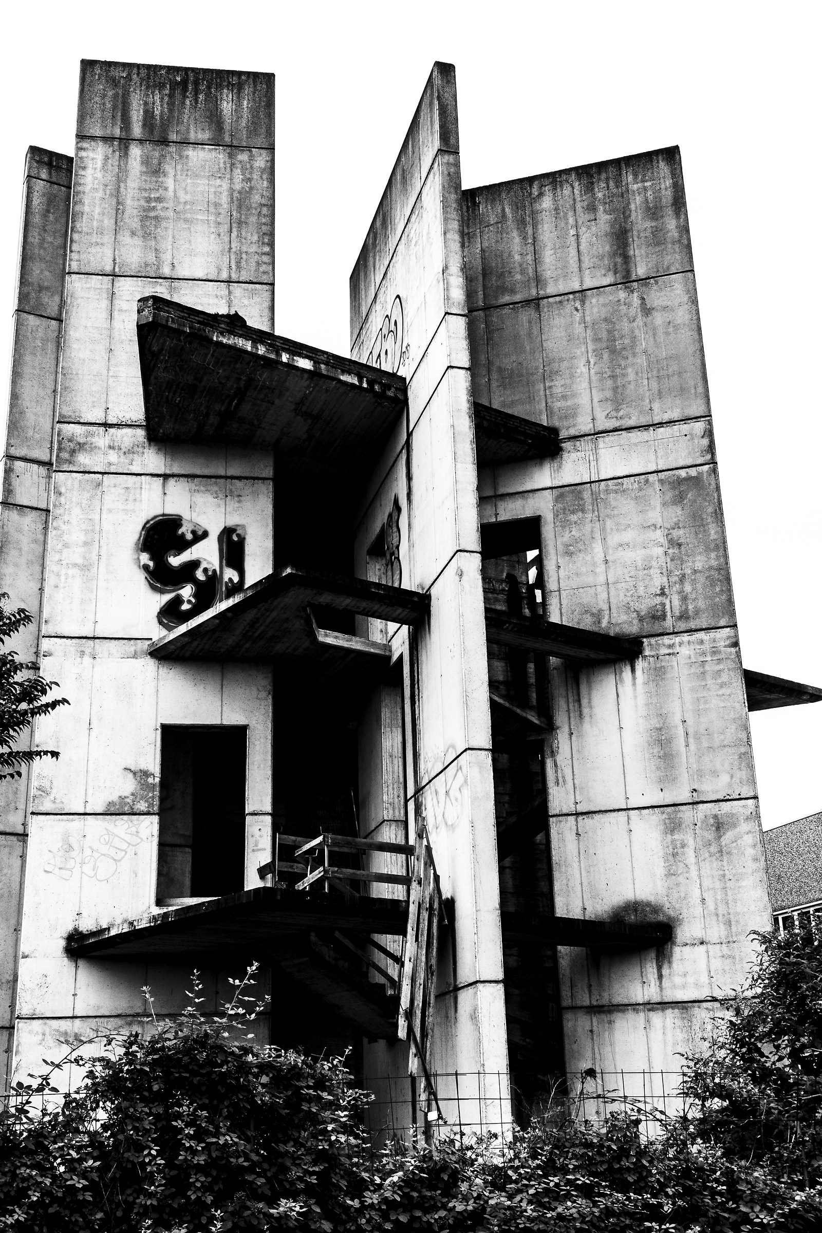 Skeletons of Brugherio