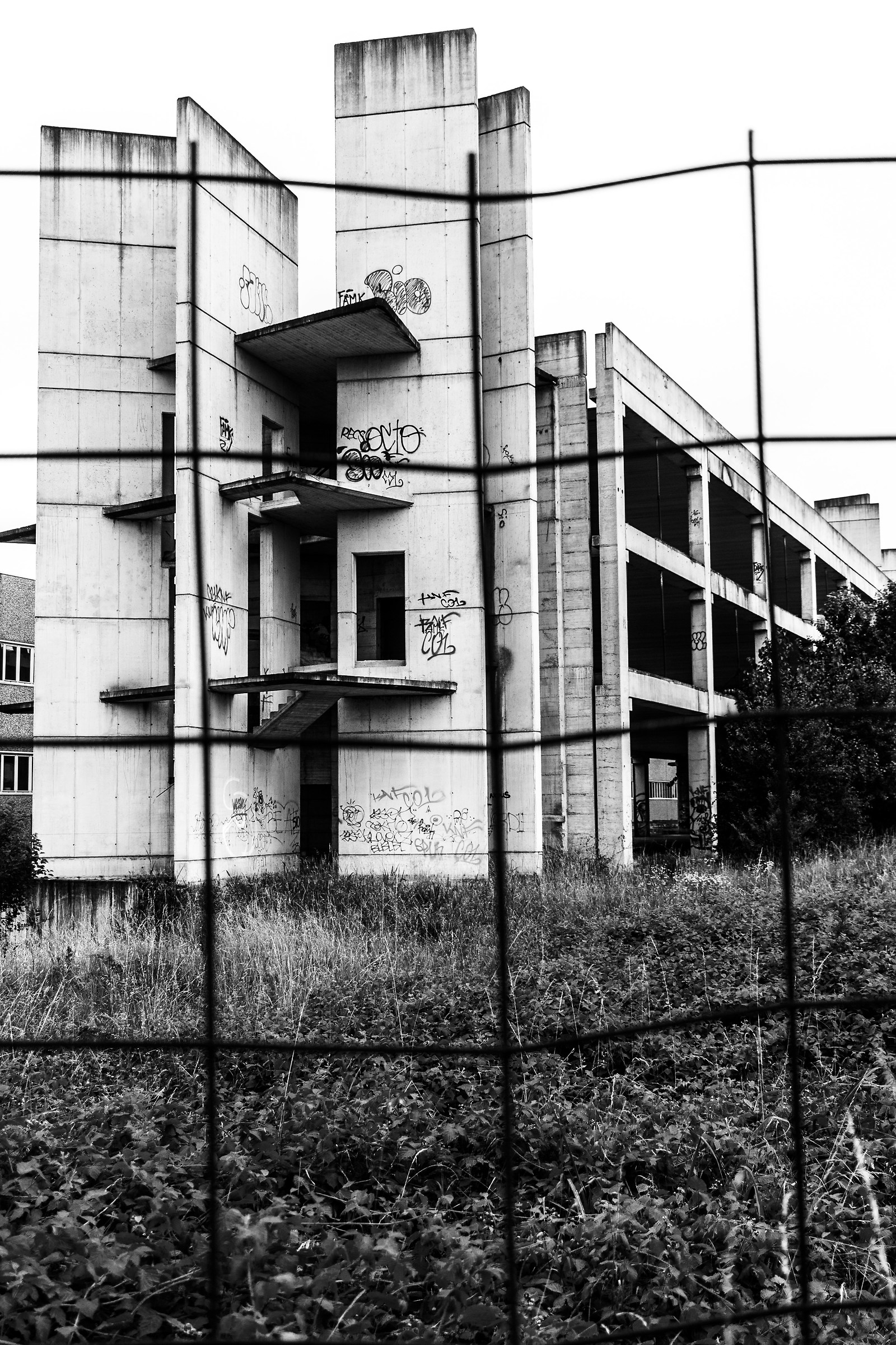 Skeletons of Brugherio