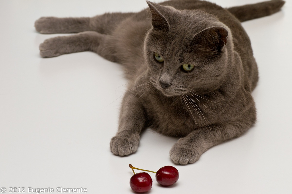 Camilla e le ciliegie