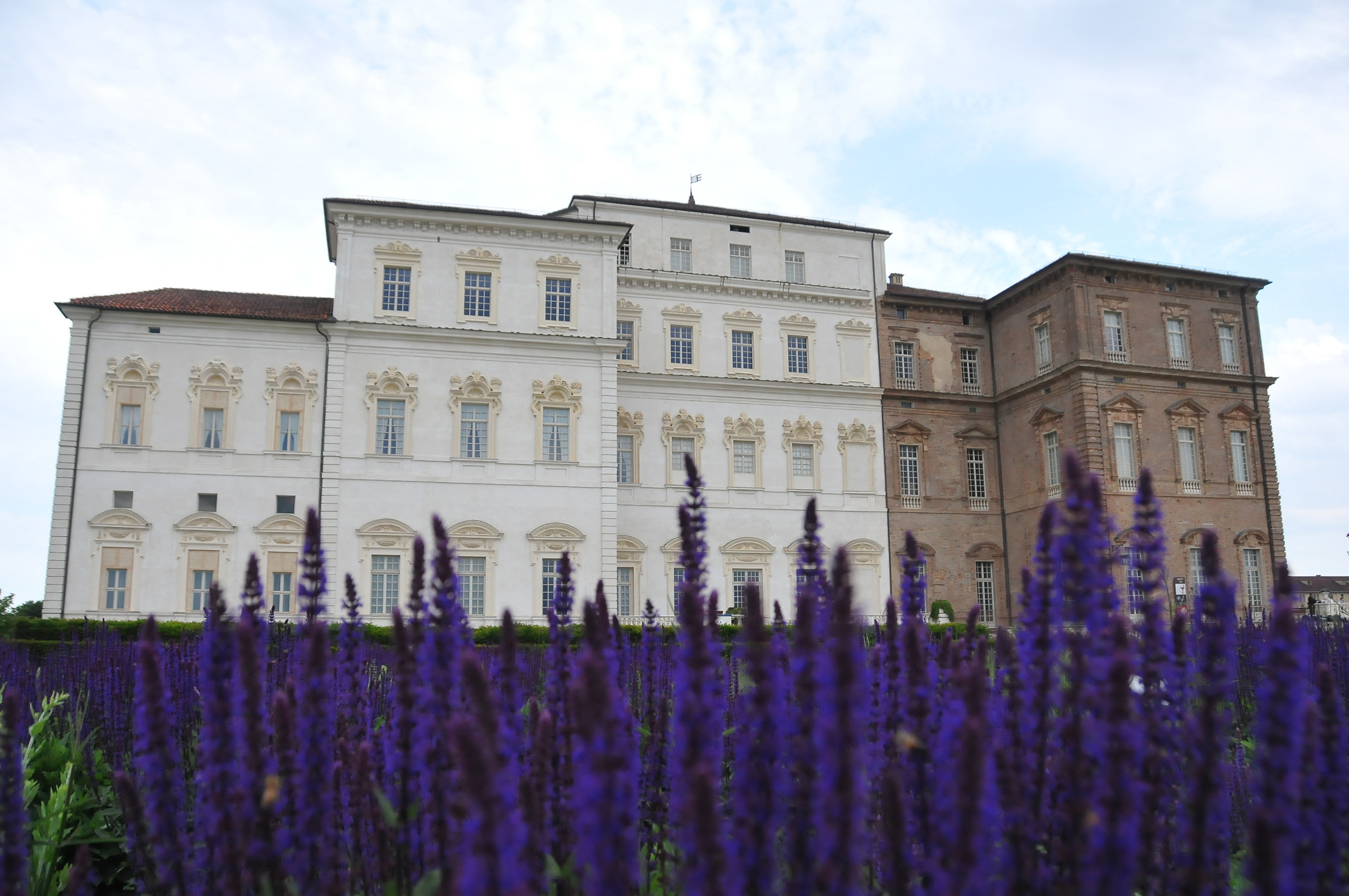 reggia di venaria