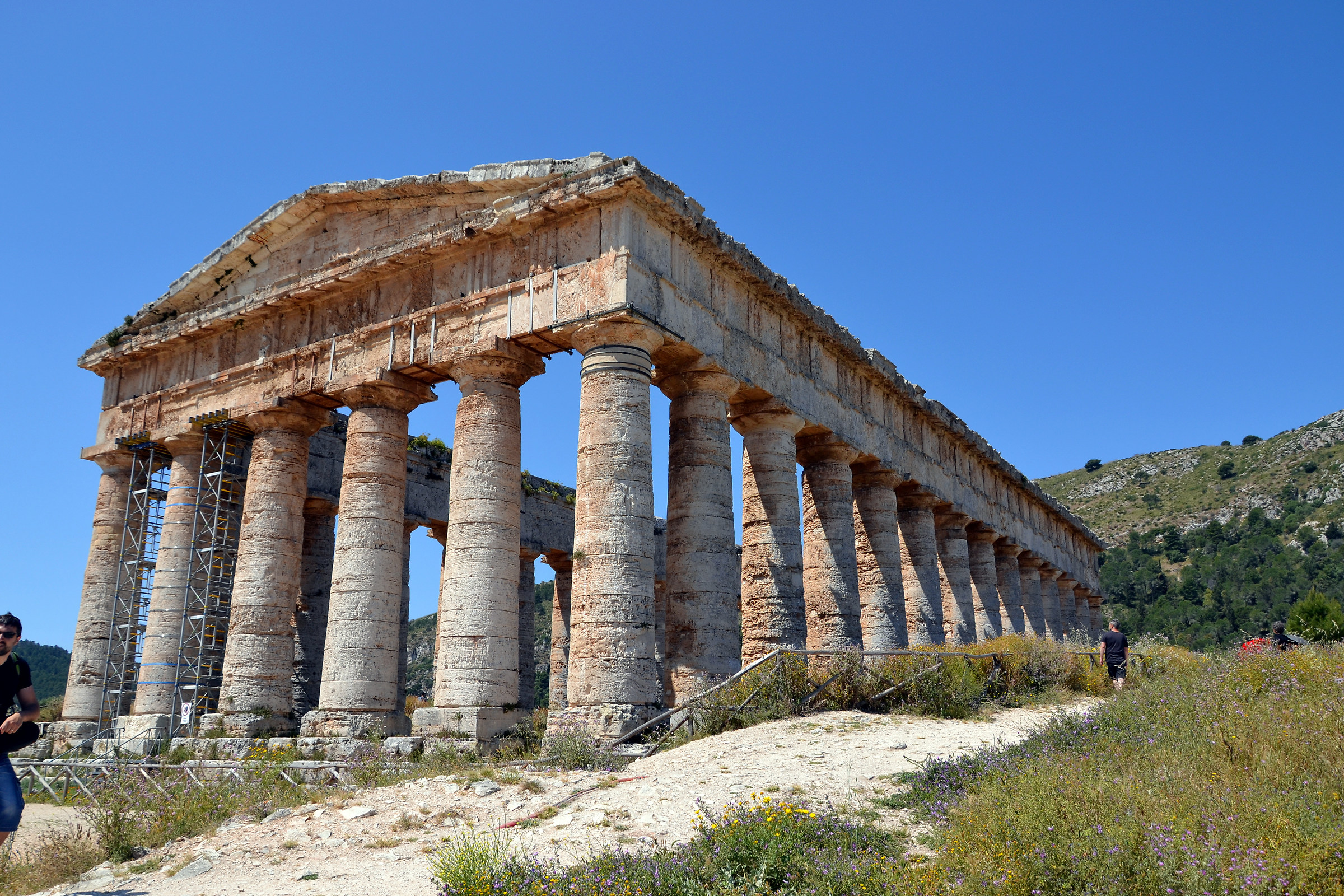 Segesta