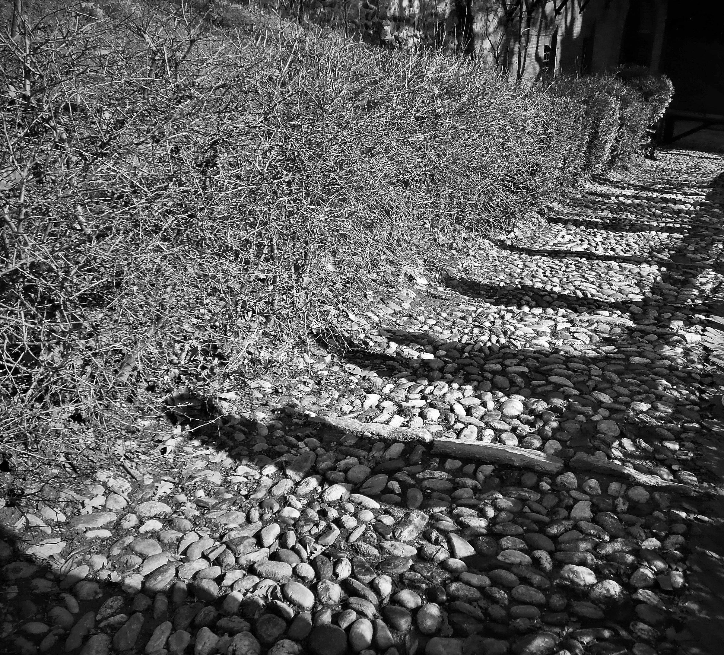 nel mezzo del cammin di nostra vita pt.2