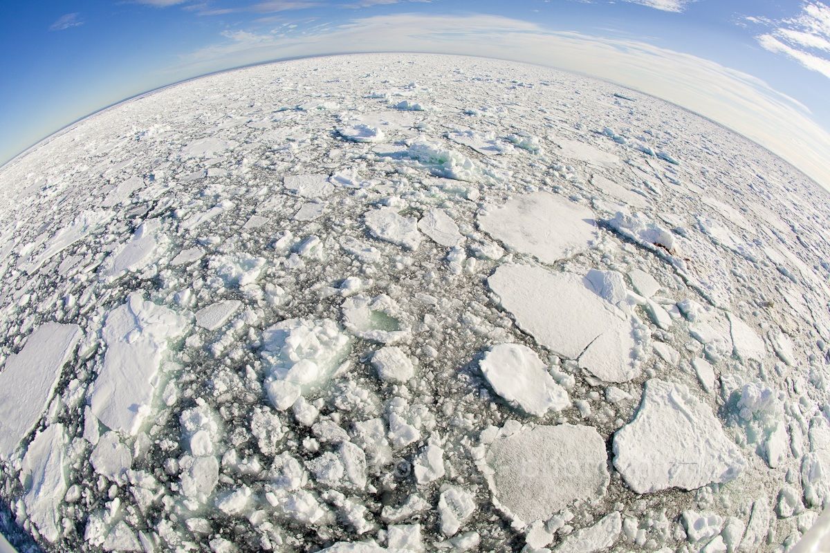 Mondo di ghiaccio - Artico -Svalbard