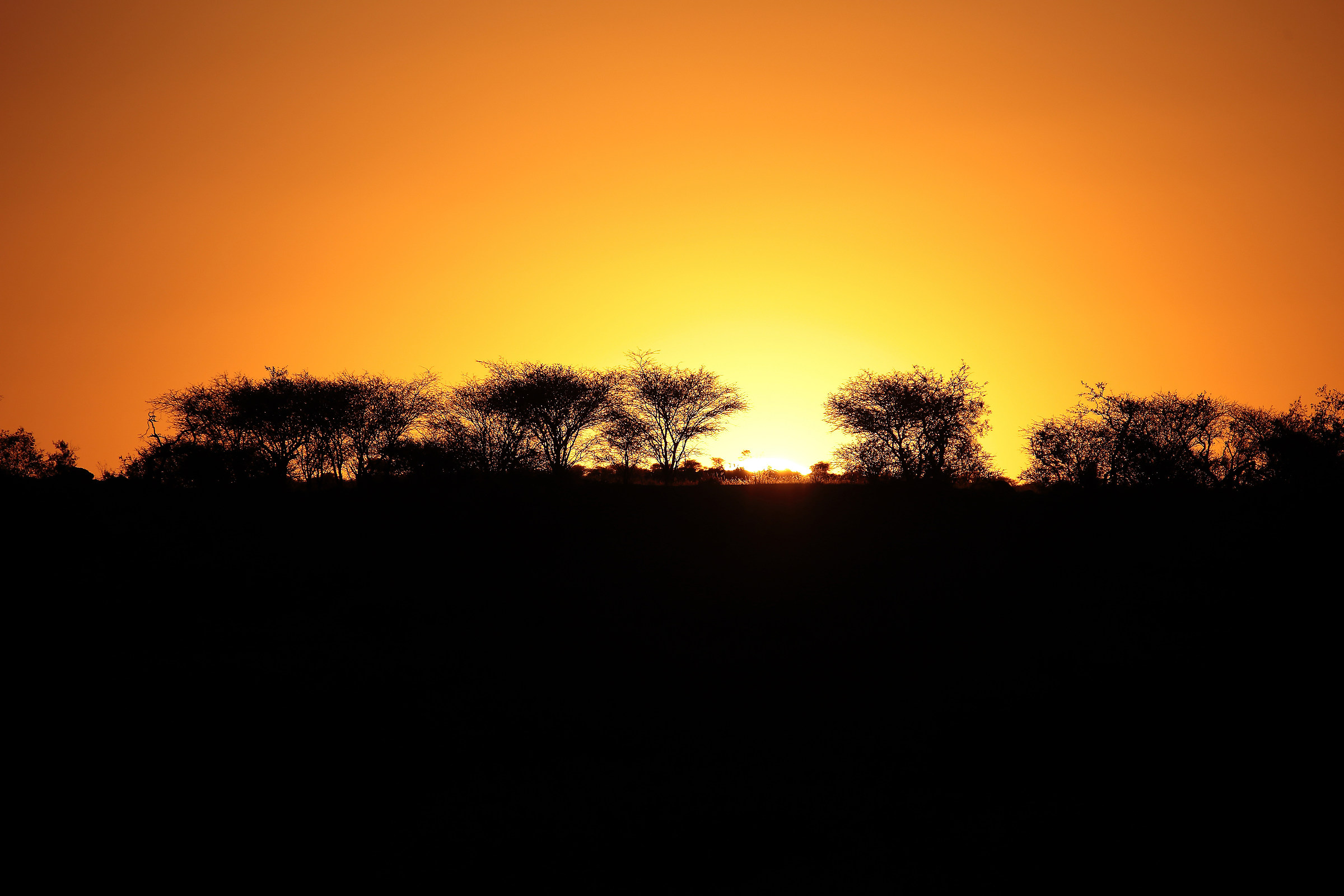 Tramonto africano