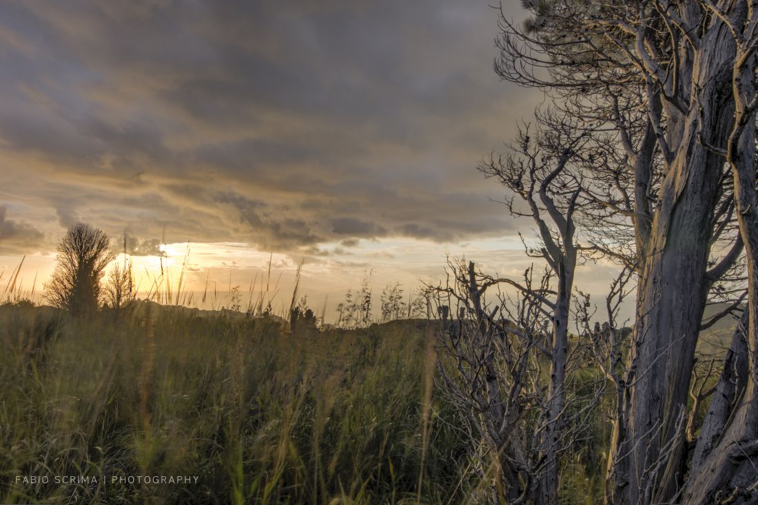 Sunset from the countryside