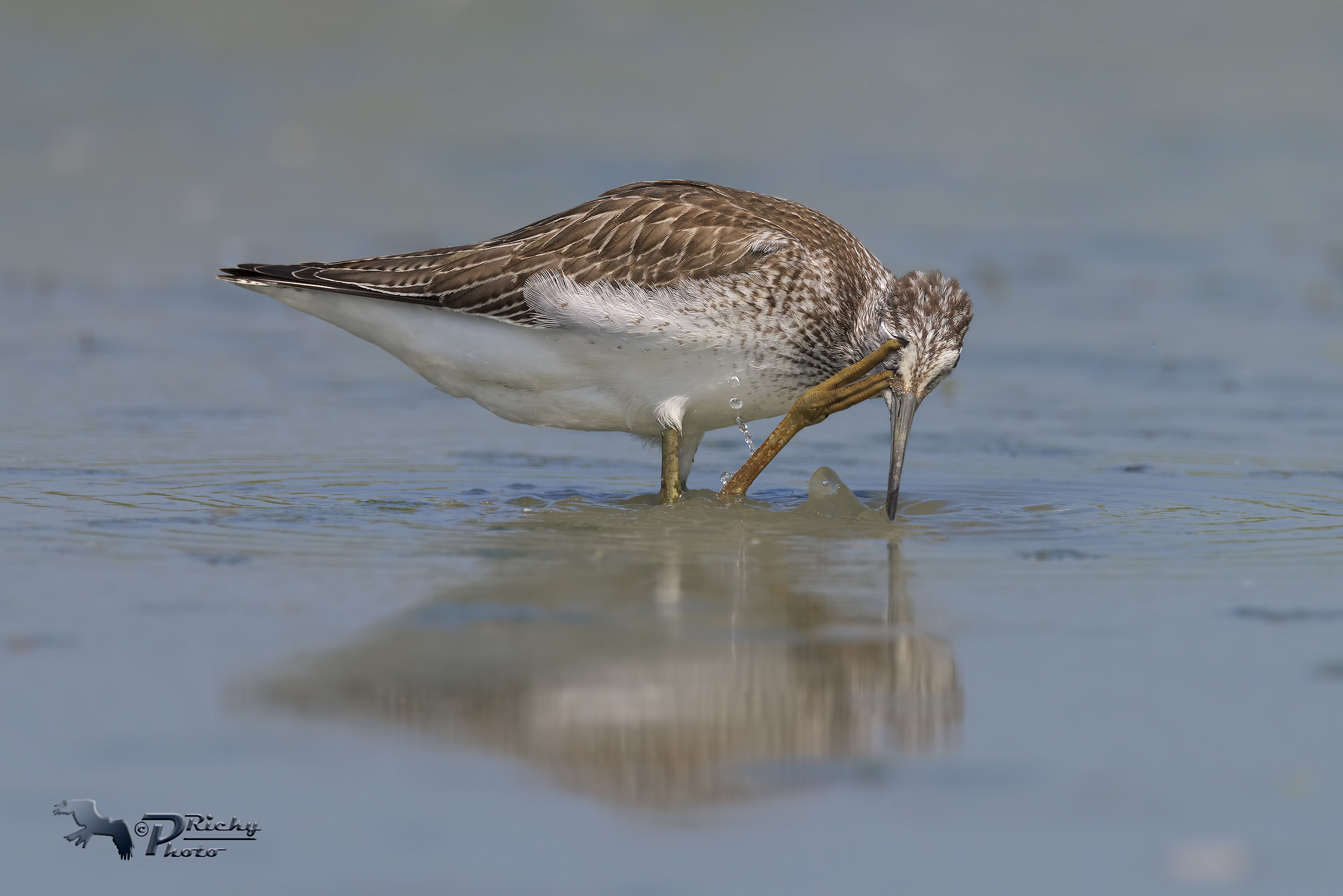 Ho qualcosa nell'occhio !