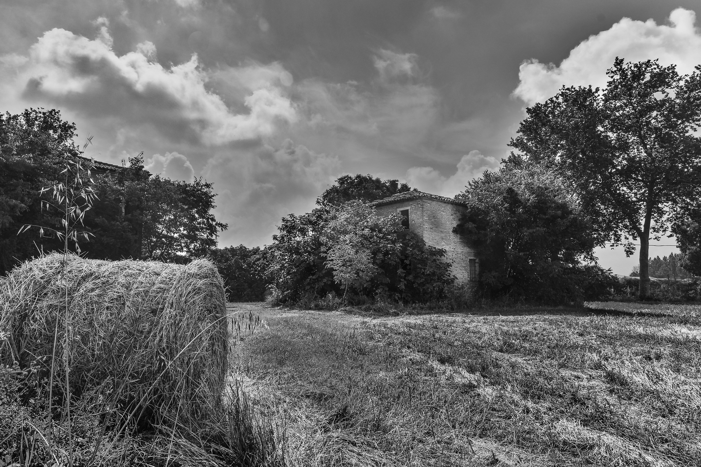 Campagna ferrarese - Casale abbandonato