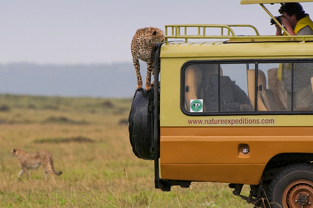 The spare wheel - Kenya Masai Mara