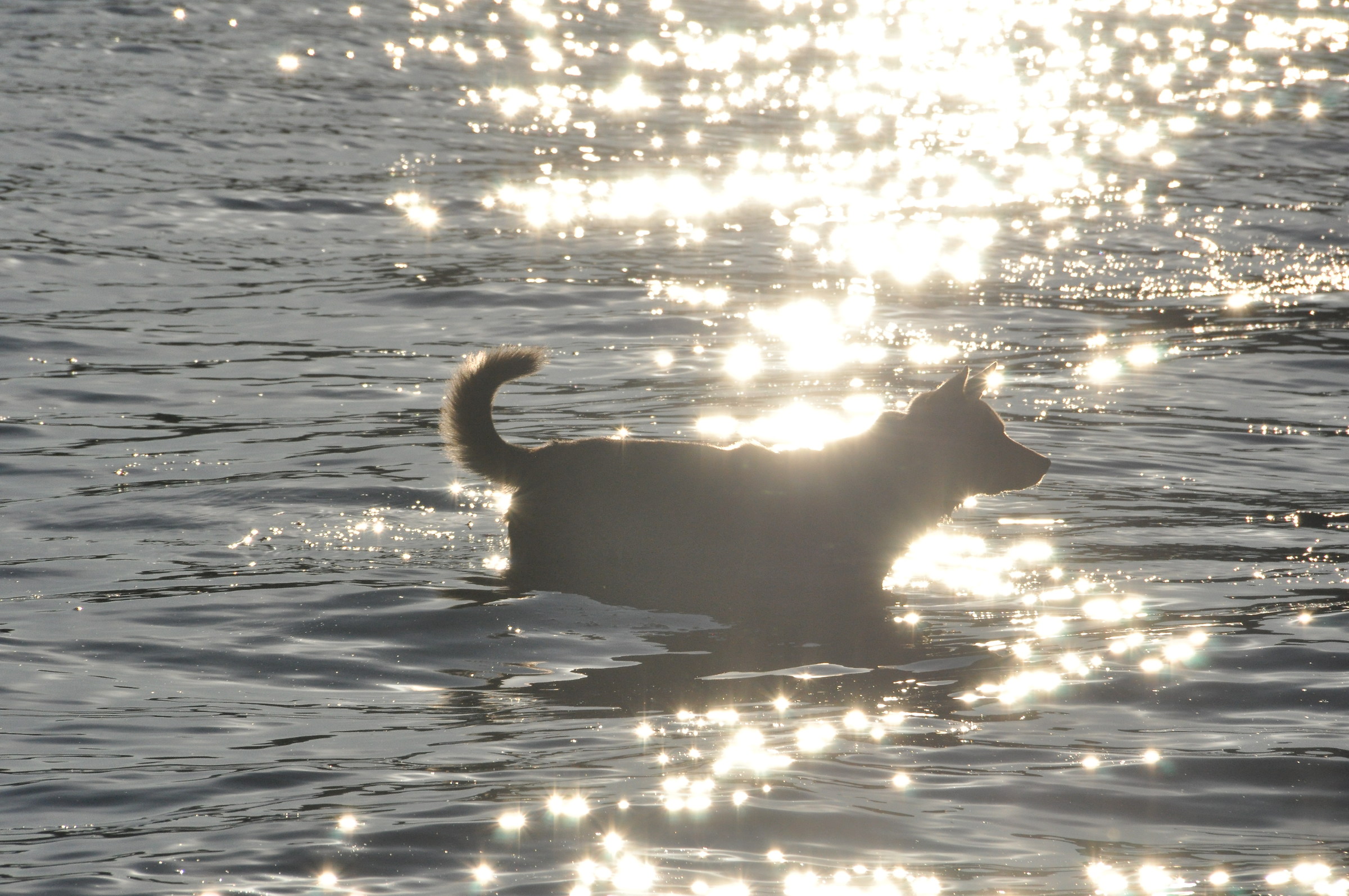 nell'acqua e nel sole