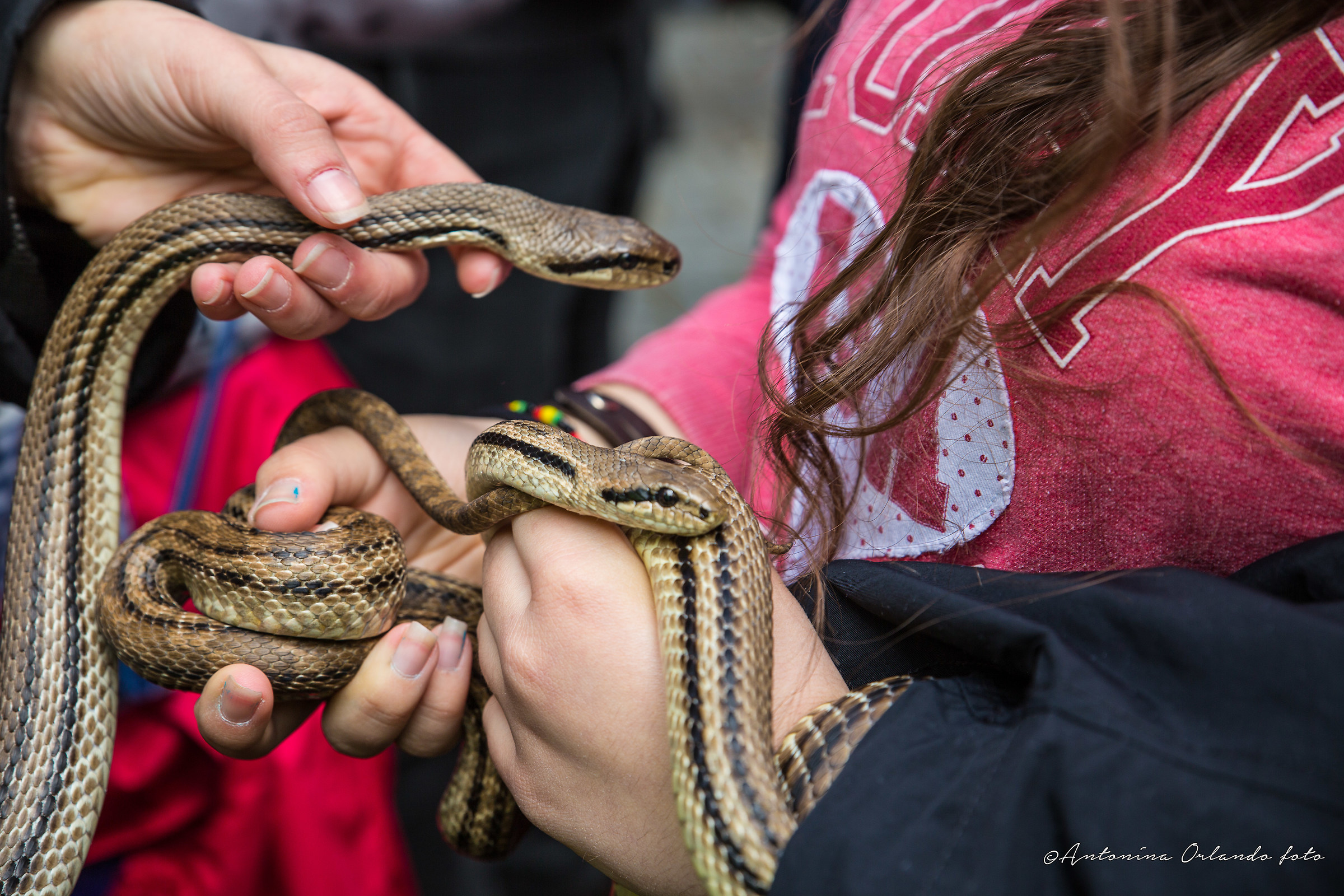 Giocando con i bimbi