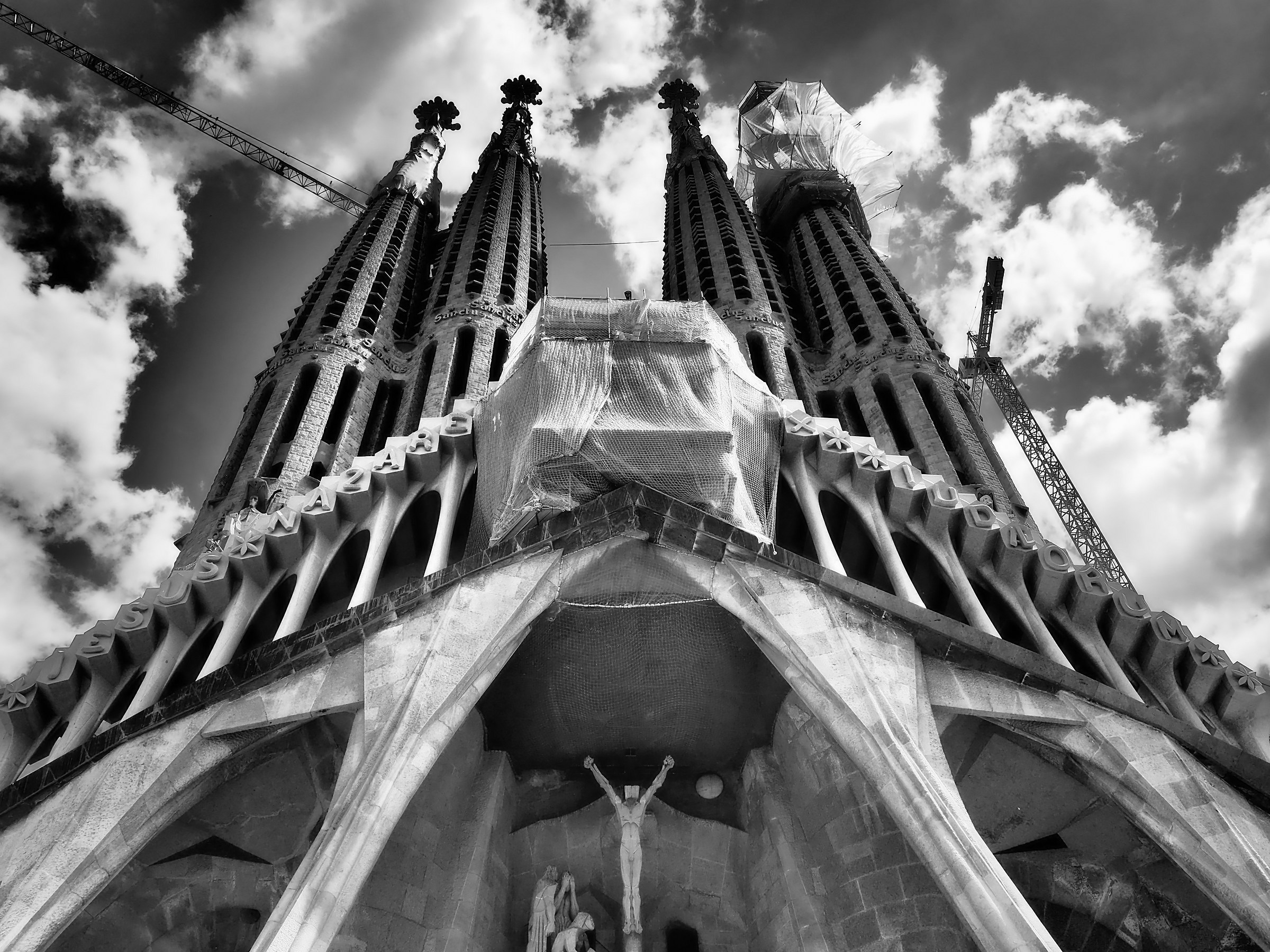 Giant Sagrada